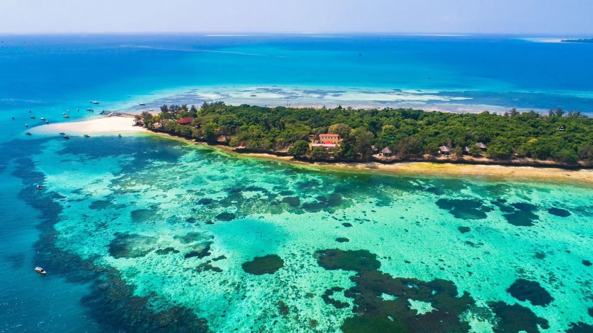 Tanzania Safari & Zanzibar Island, Wild & Free