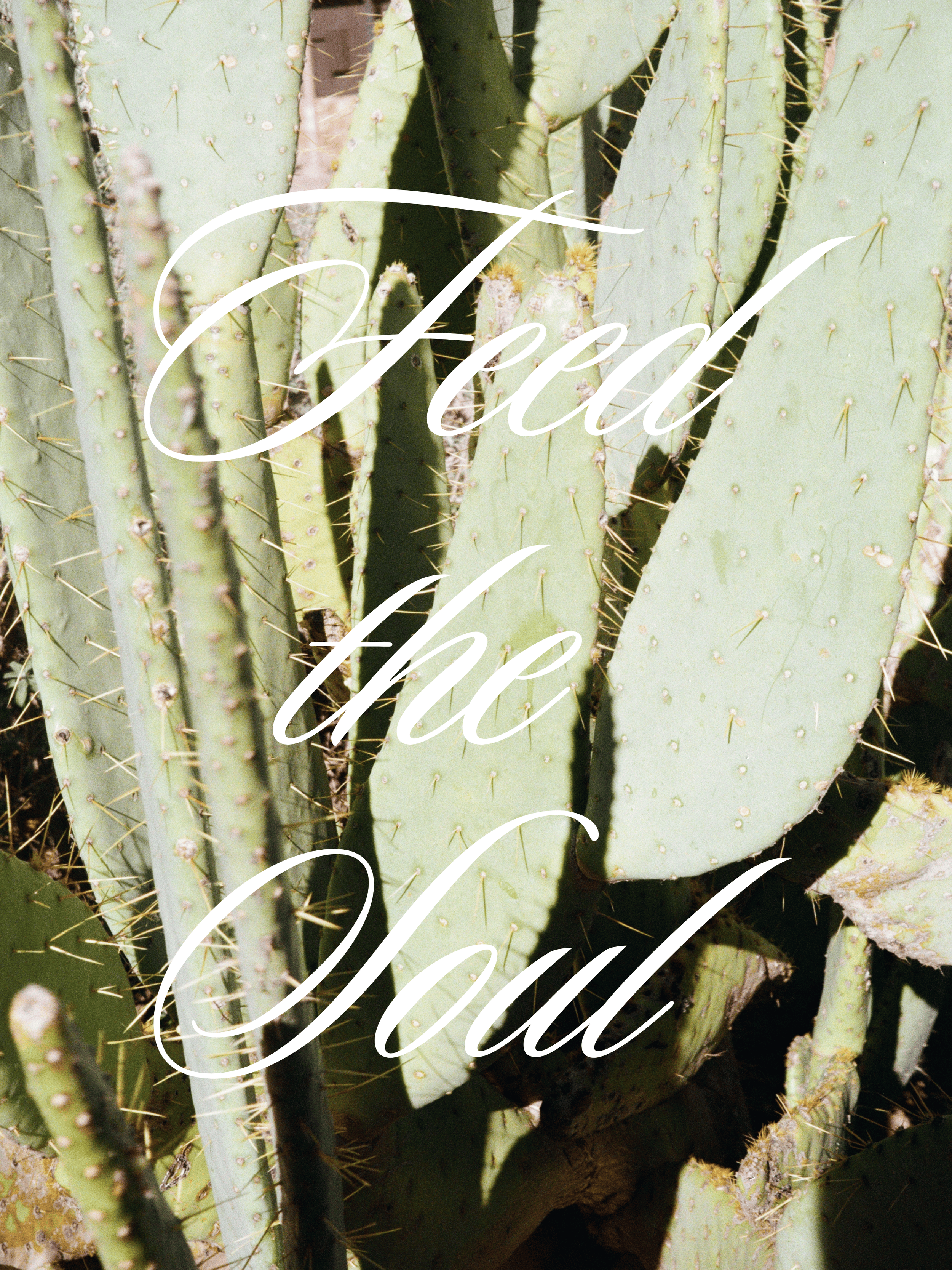 Starve the ego posters (18 x 24 in).PNG