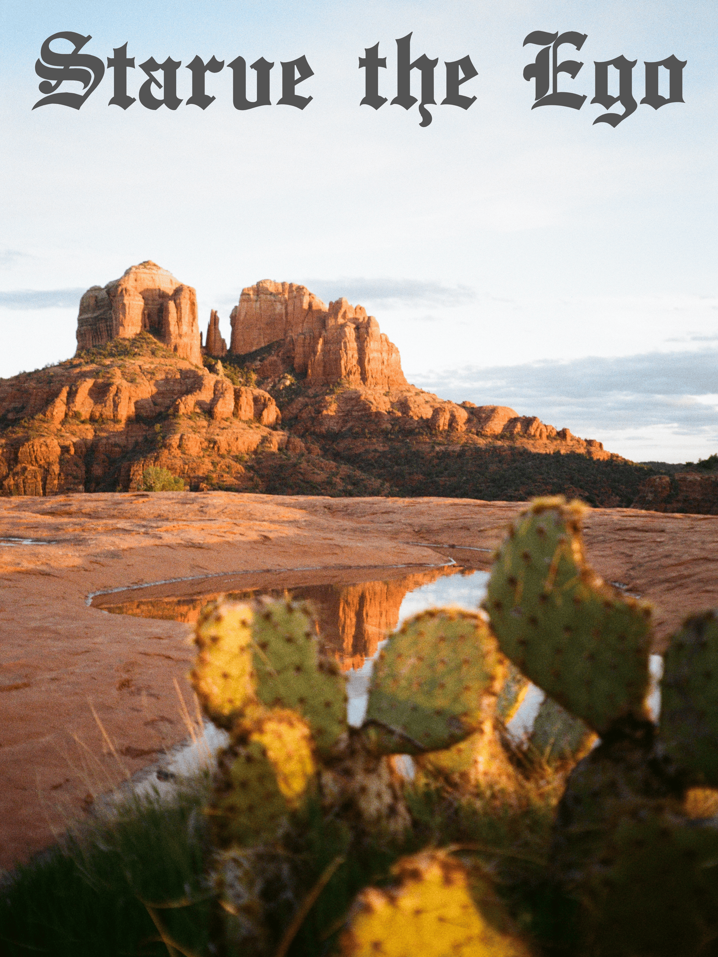 Starve the ego posters (18 x 24 in) 2.PNG