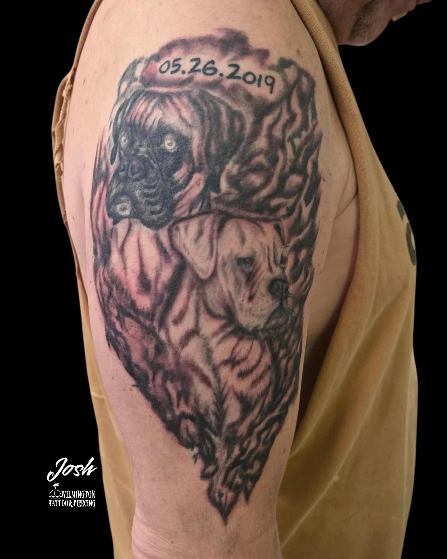 Josh @thundertatz 

.
.
 #WilmingtonTattooAndPiercing
#InkWithMeaning
#ForeverInked
#PetMemorial
#DogPortraitTattoo
#CatPortraitTattoo
#WolfTattoo
#LionTattoo
#SnakeTattoo
#PantherTattoo
#ButterflyTattoo
#DetailedTattoo
#LineworkTattoo
#BoldLines
#Sm