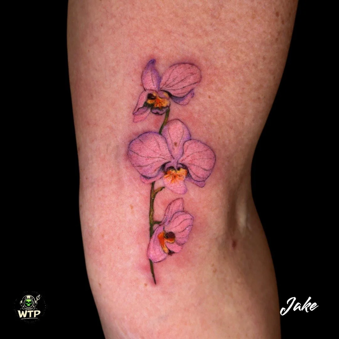 Jake @legacy_art_910 

.. #WilmingtonTattooAndPiercing #WilmingtonNCTattoo #WilmingtonTattoo #FineLineTattoo #MinimalTattoo #DelicateTattoo #LineworkTattoo #RealismArtist #BlackAndGreyRealism #AnimeInk #MangaTattoo #FamilyTattooIdeas #ChildNameTattoo