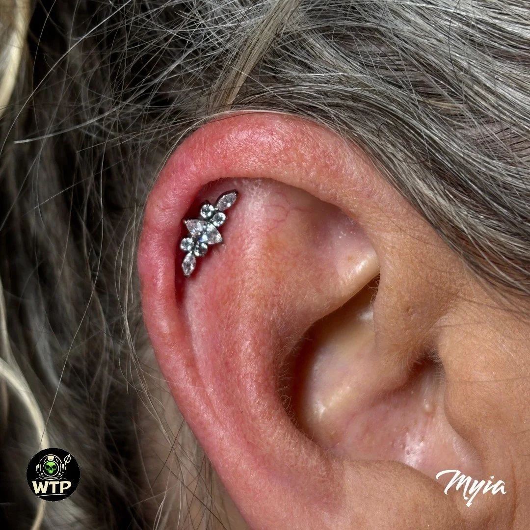 Myia @_prettypiercer 

.
.
 #WilmingtonTattooAndPiercing #WilmingtonNC #WilmingtonNCLife #PiercingStudio #LicensedPiercer #ProfessionalPiercer #CleanStudio #SterileEnvironment #QualityMatters #EarPiercingStudio #NosePiercingStudio #SeptumPiercing #Ca