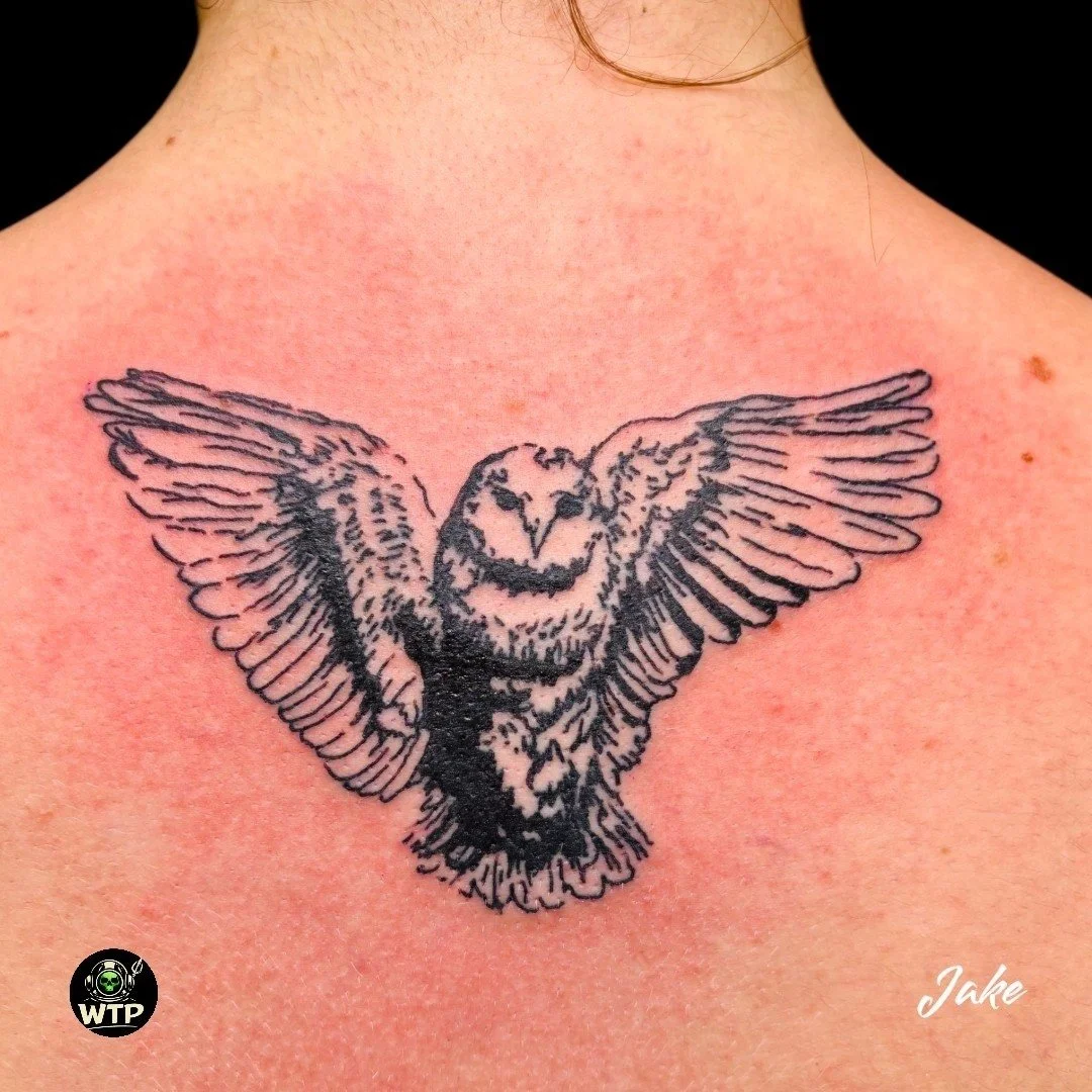 Jake @legacy_art_910 

.
.
 #WilmingtonTattooAndPiercing #WilmingtonNC #WilmingtonNCTattoo #WilmingtonTattoo #NCtattooartist #910Ink #CapeFearTattoo #FineLineTattoo #RealismTattoo #BlackAndGreyTattoo #ColorTattoo #AnimeTattoo #MangaTattoo #FamilyTatt