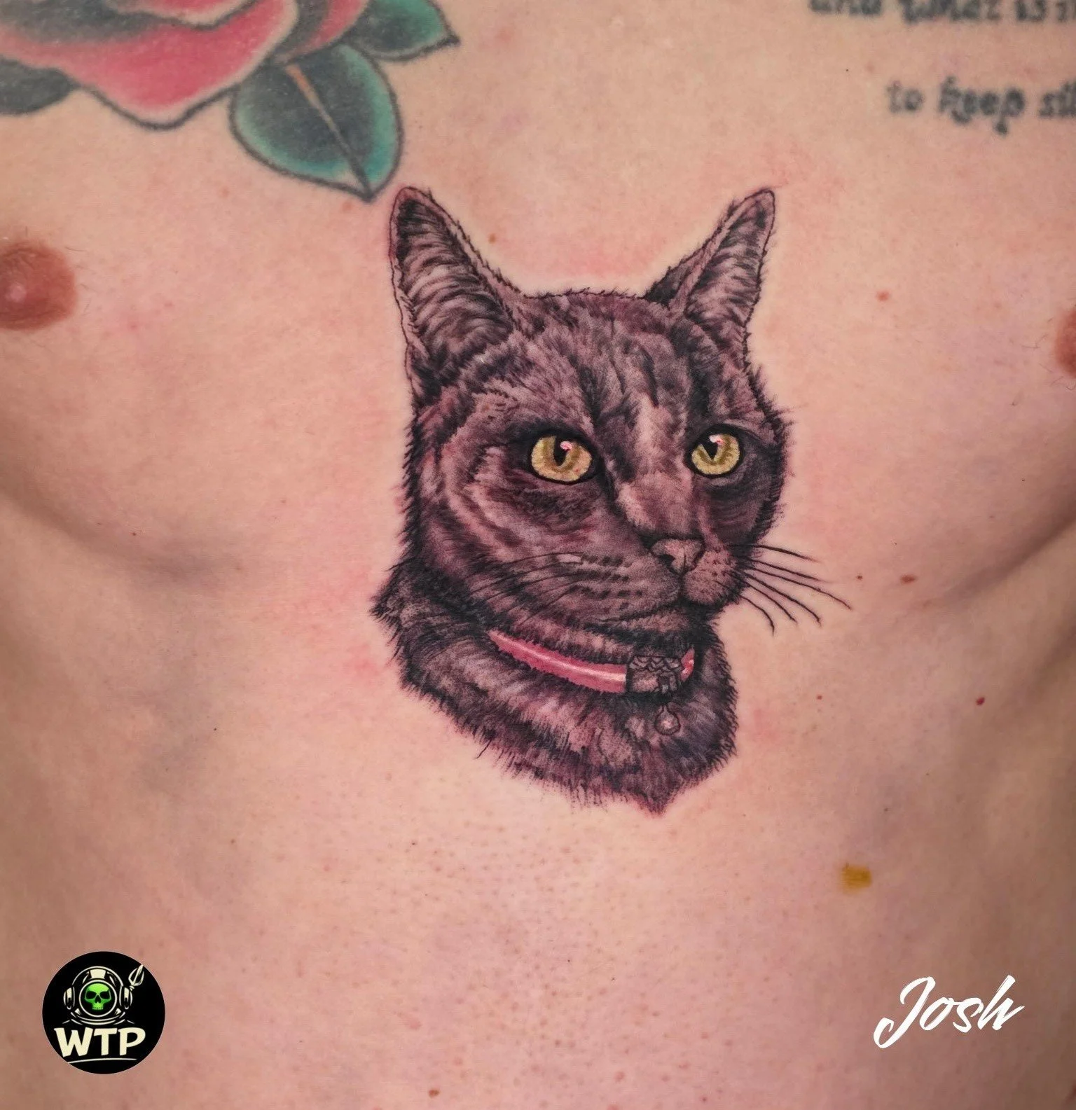Josh @thundertatz