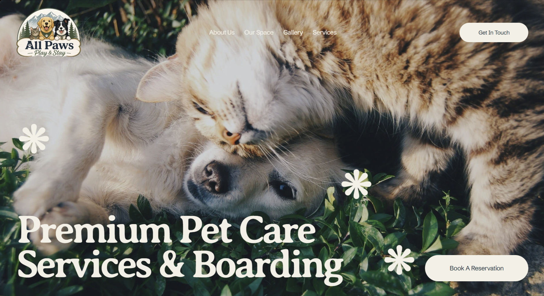All Paws Play & Stay