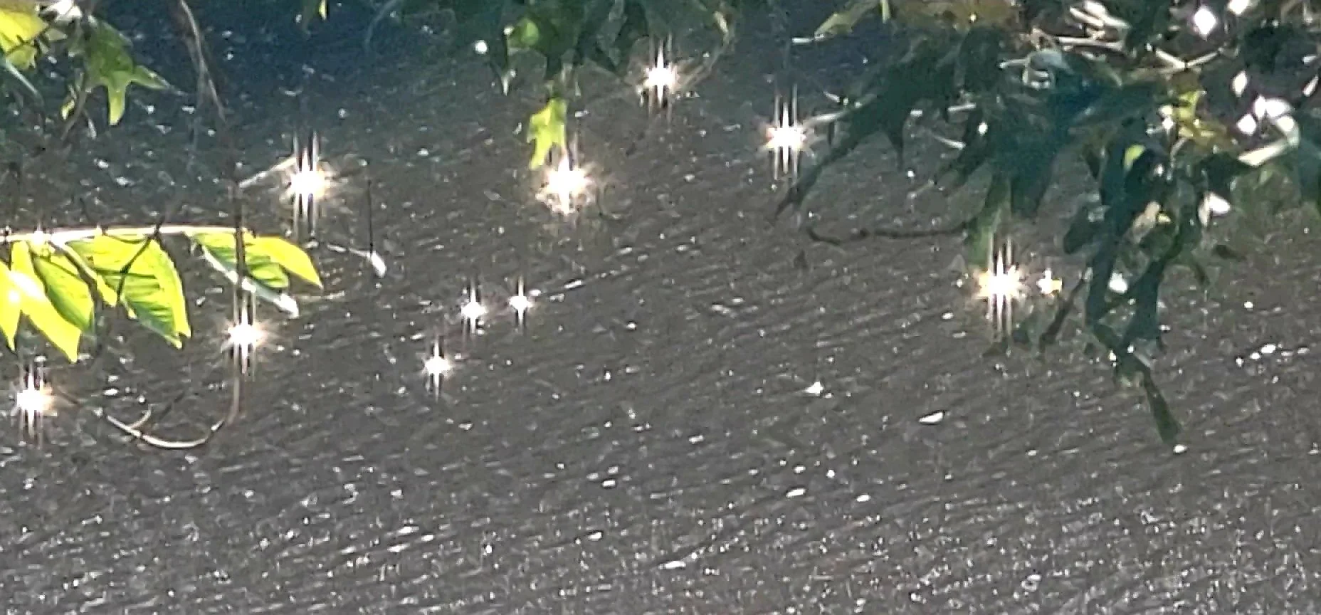 Diamonds on the water