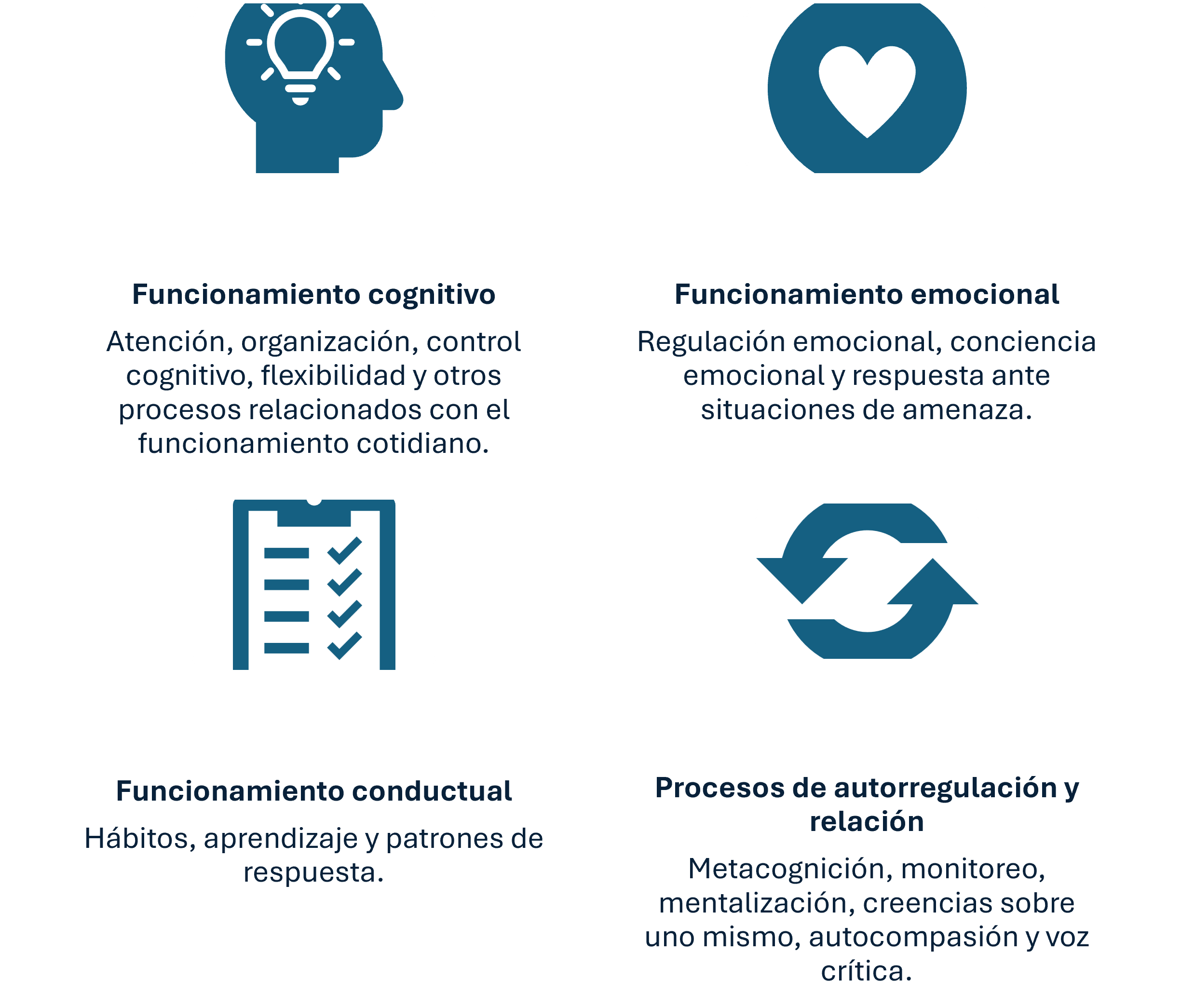 A four-panel infographic with blue icons and Spanish text explaining different types of functioning: cognitive, emotional, behavioral, and self-regulation processes.