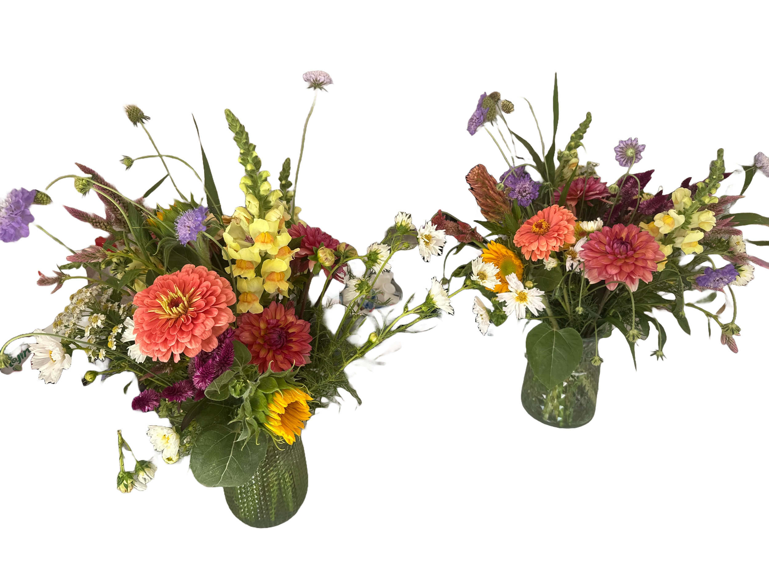 Adobe Express - file.png