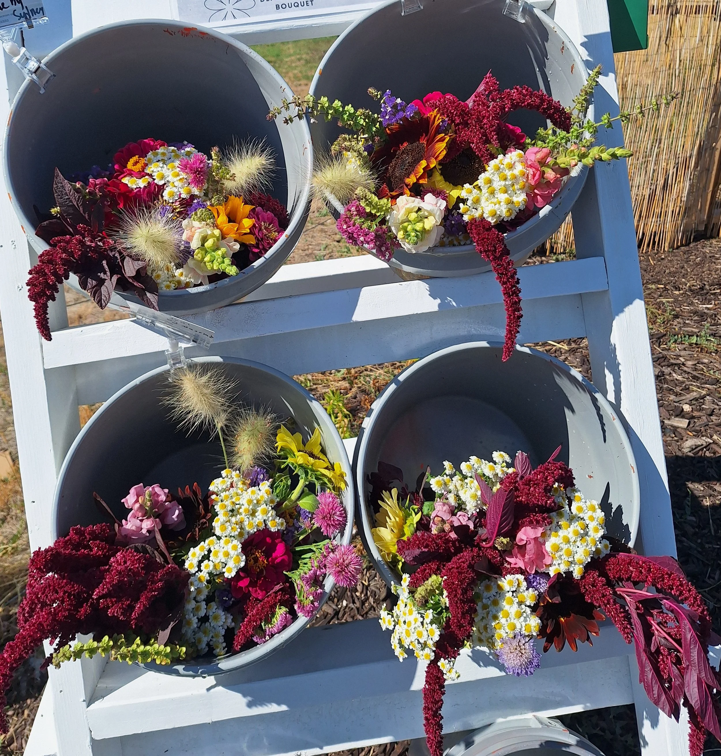 Weekly Bouquet Pre-Sale (13 weeks)