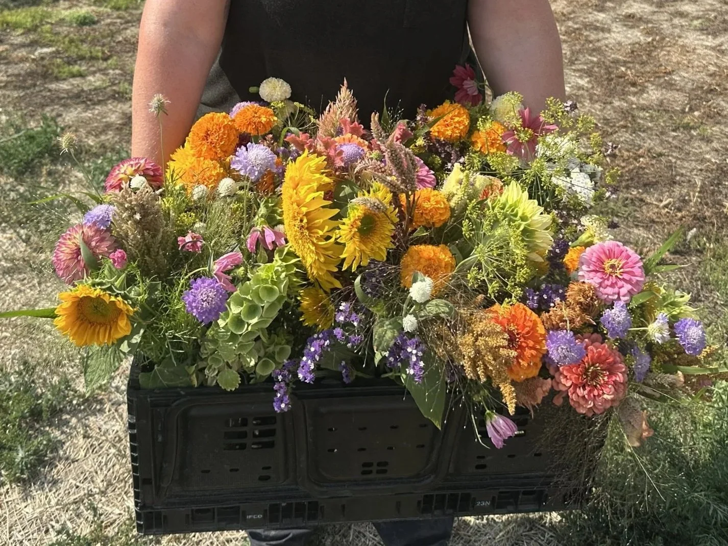 FULL SEASON: Weekly Bouquet Pre-Sale (12 weeks)