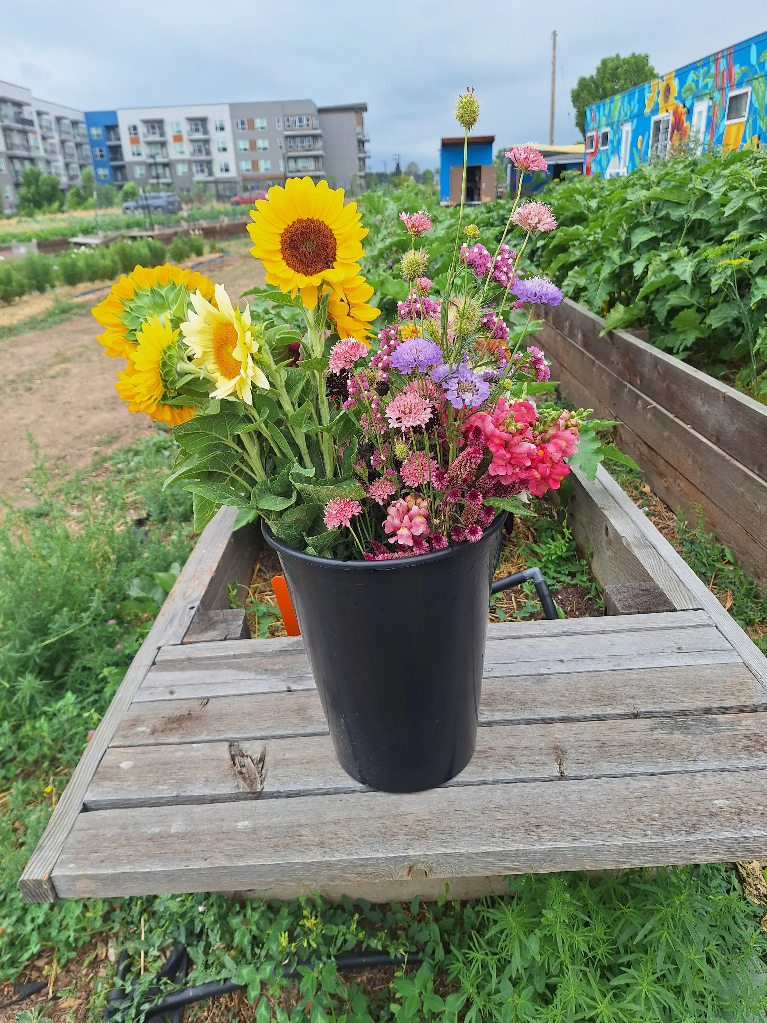 Farmer's Choice Flower Bucket
