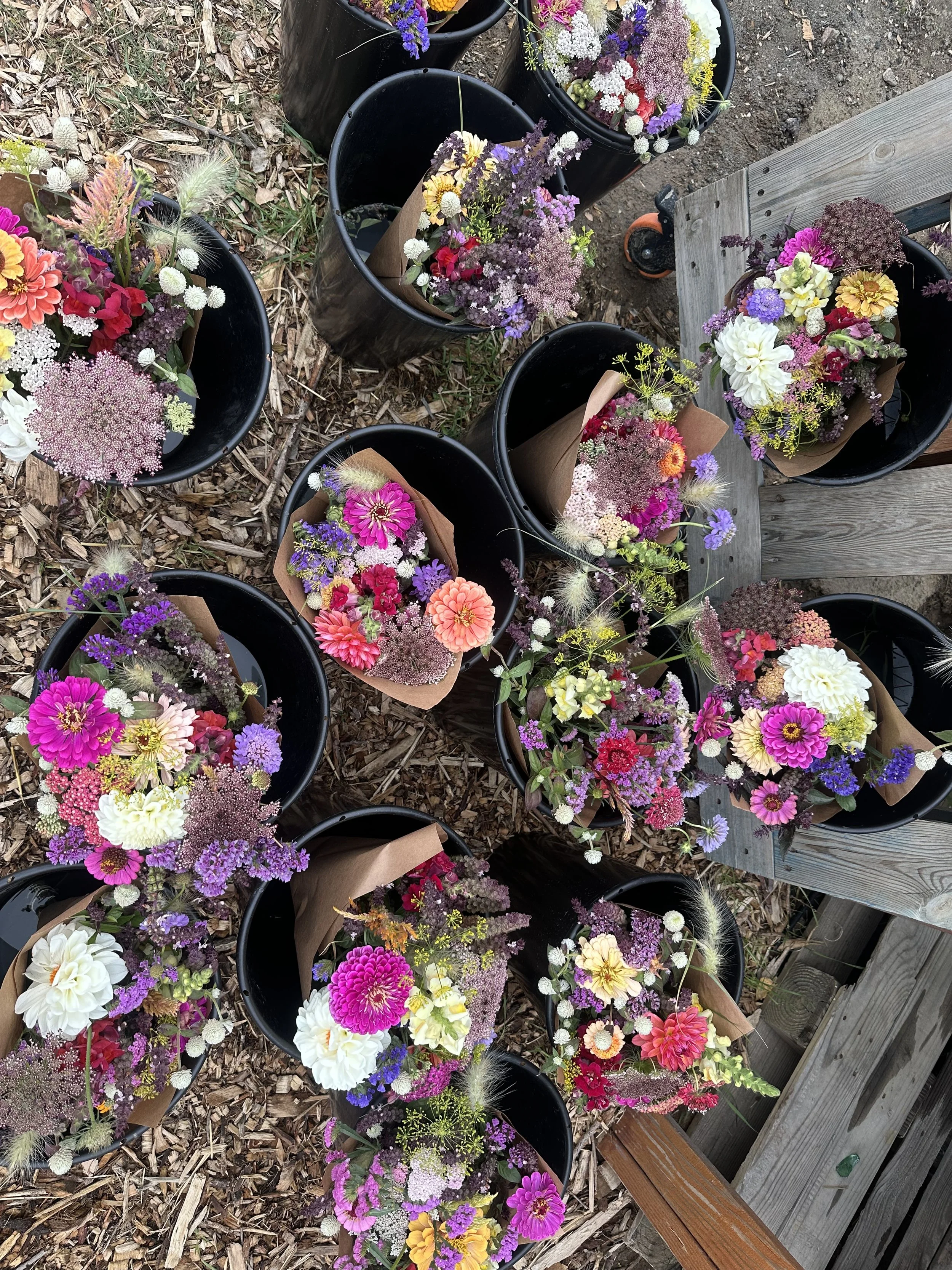 EVERY OTHER WEEK: 6-Weeks of Bouquets Pre-sale