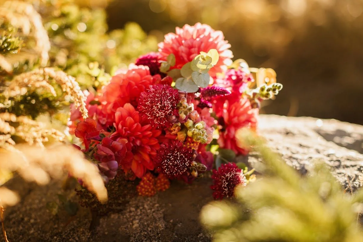 LATE SEASON: 6-Weeks of Bouquets Pre-sale