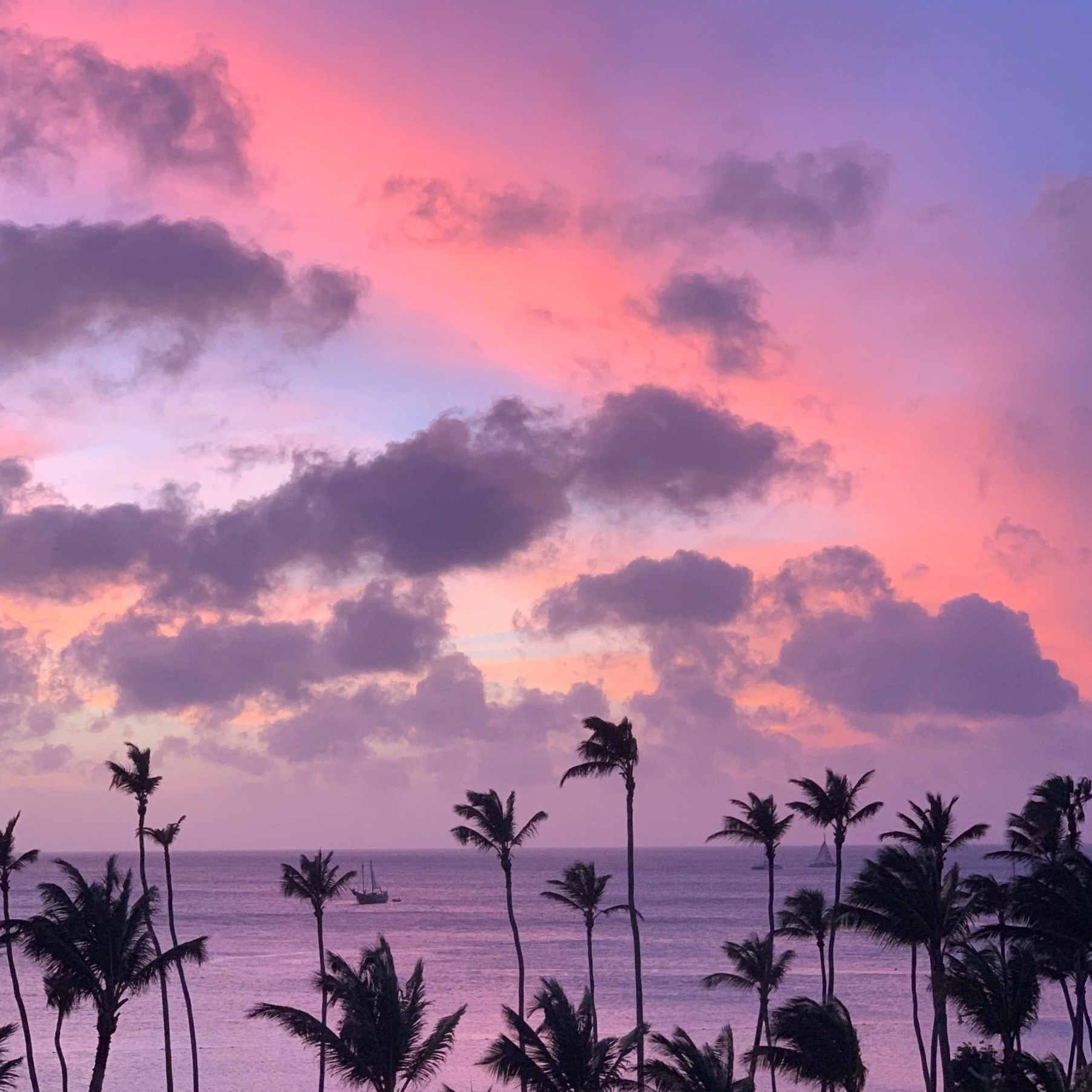 Aruba in Violet Light: My Short but Soulful Luxury Escape