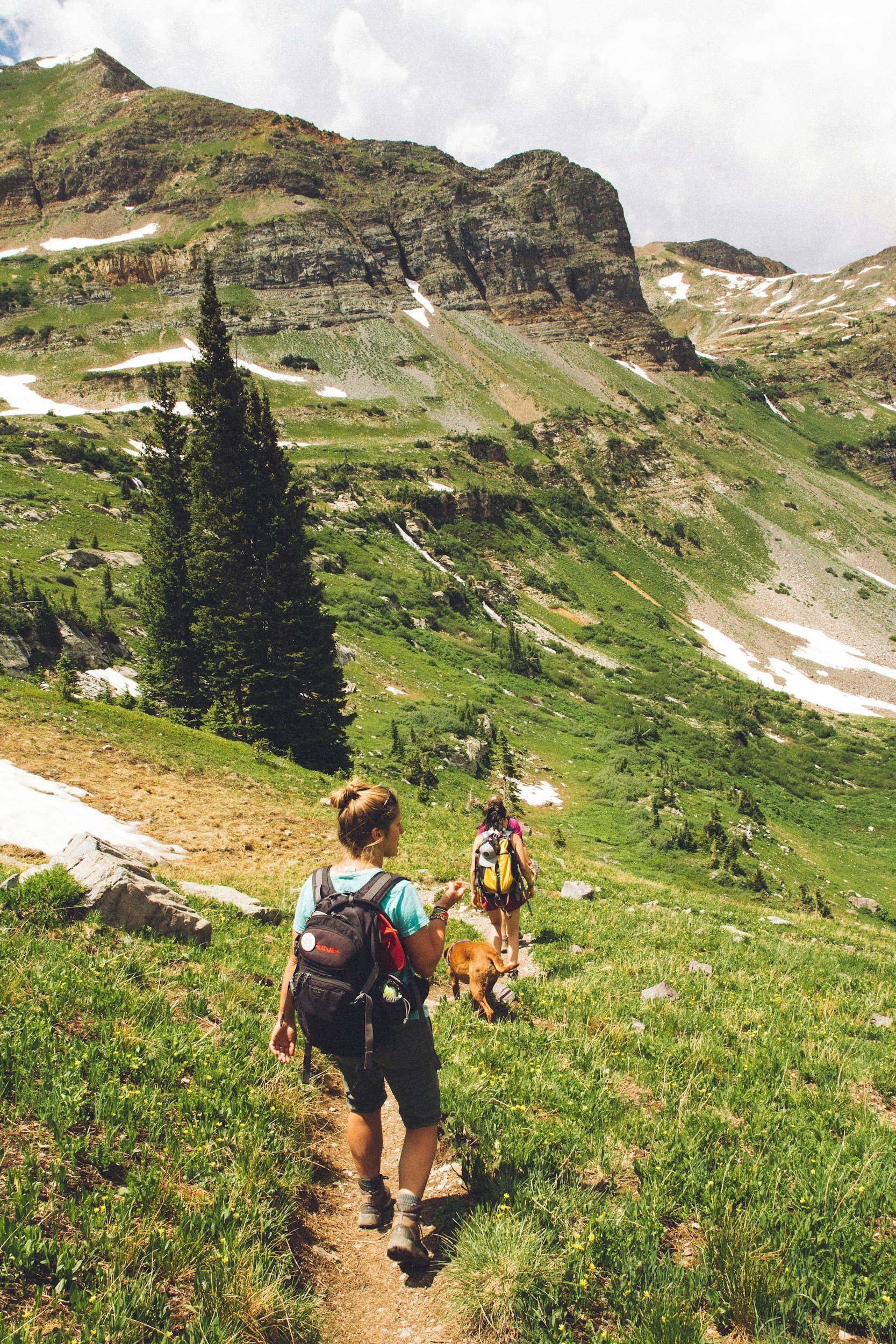 Hikers walking on a mountain trail surrounded by green grass and wildflowers, with a lush mountain slope and rocky peaks in the background.