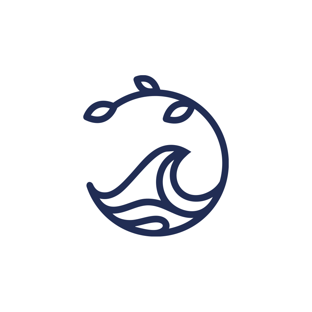 VIDA NUEVA PARA EL MUNDO