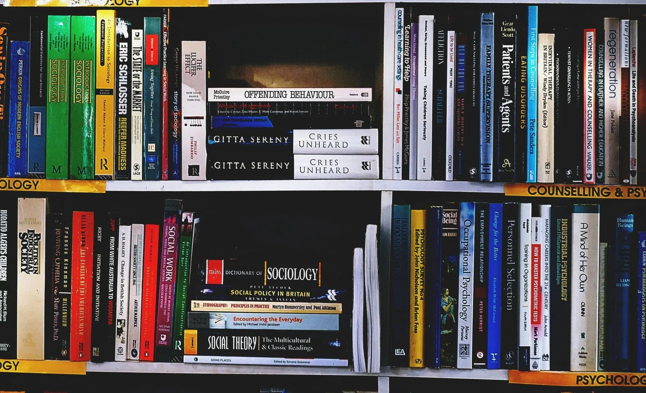 Bookshelves filled with books on sociology, social theory, psychology, and counseling, including titles like "The State of the Marital Effect," "Gitta Sereny," and "Encountering the Everyday."