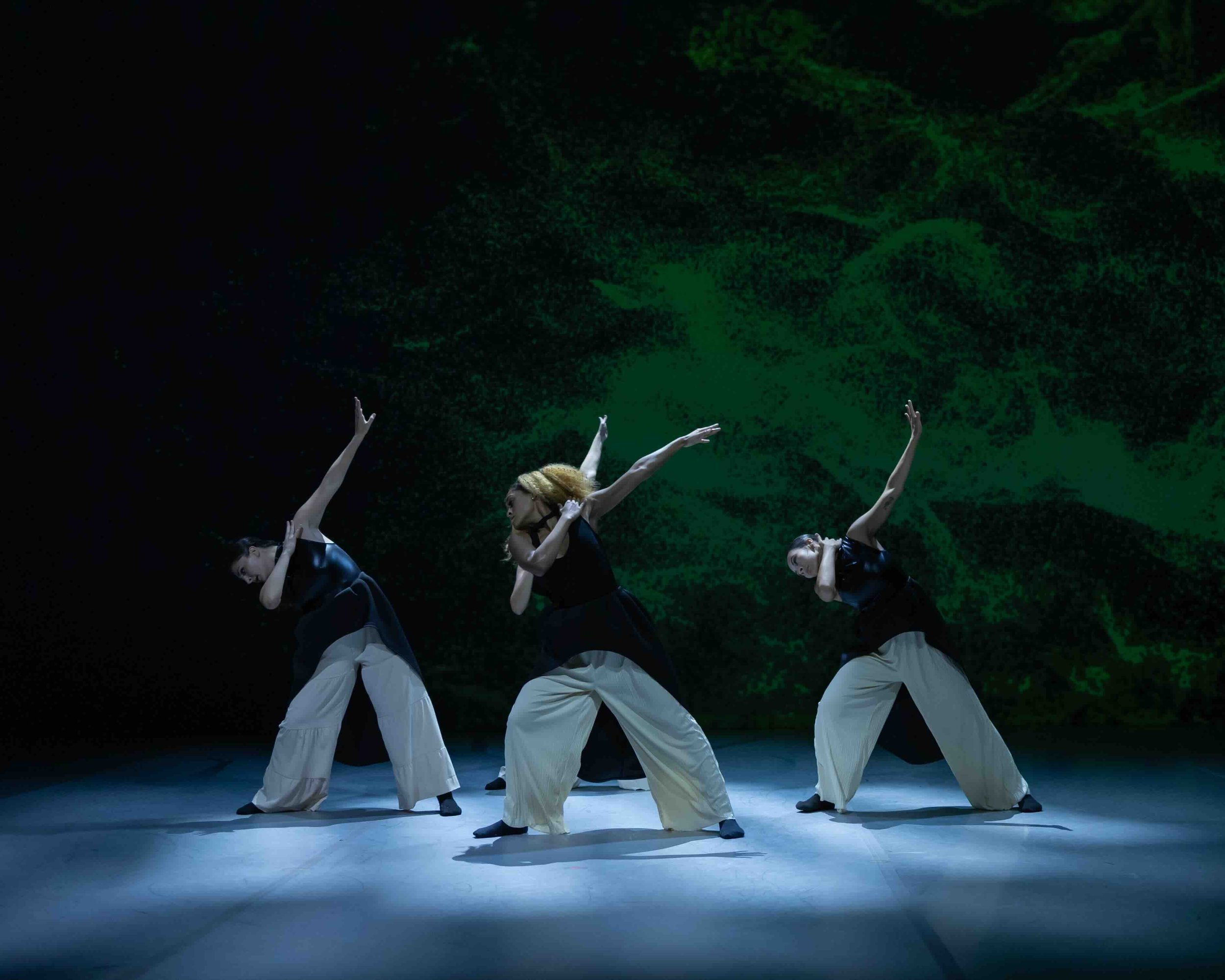 What We Can Not Hold