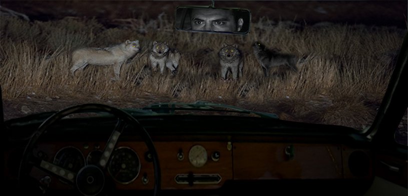 The Wolves