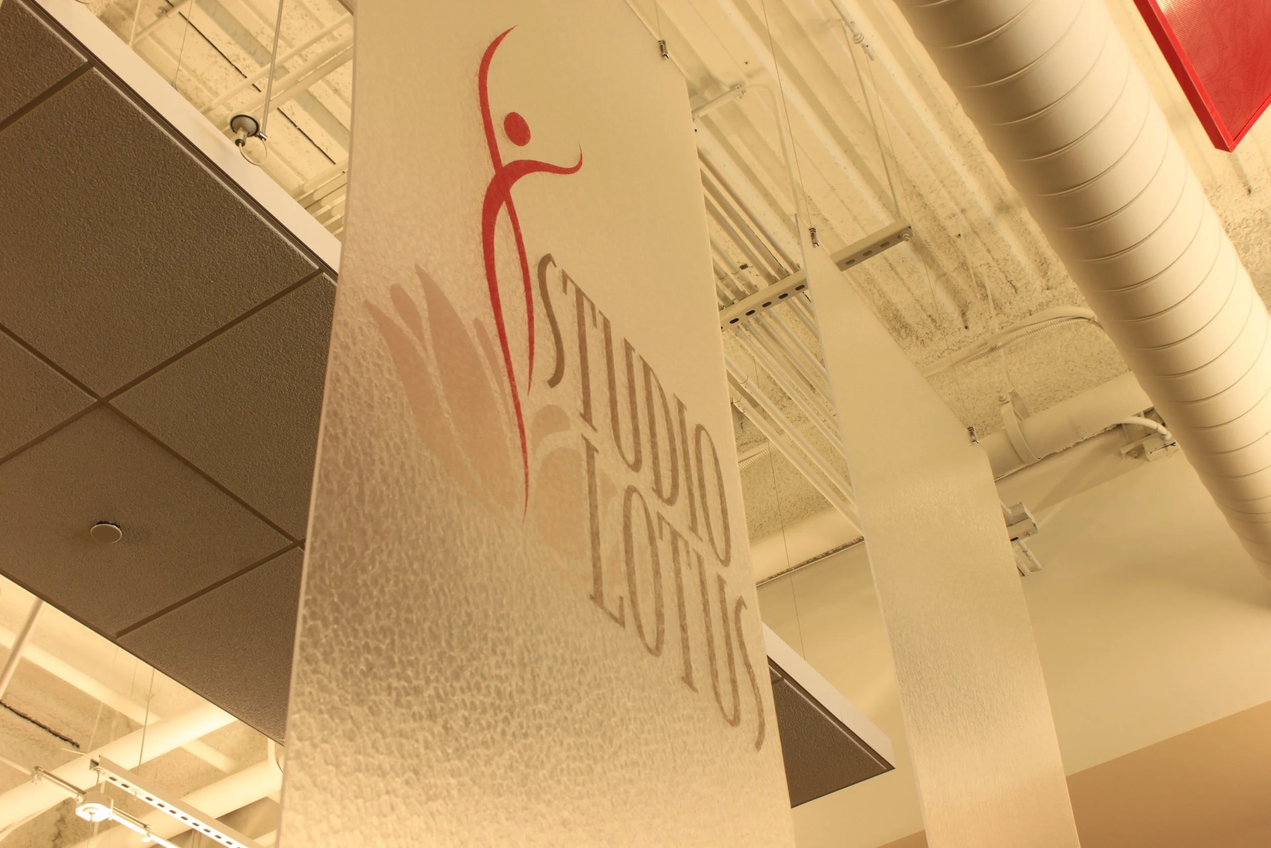 1 - Studio Lotus.JPG