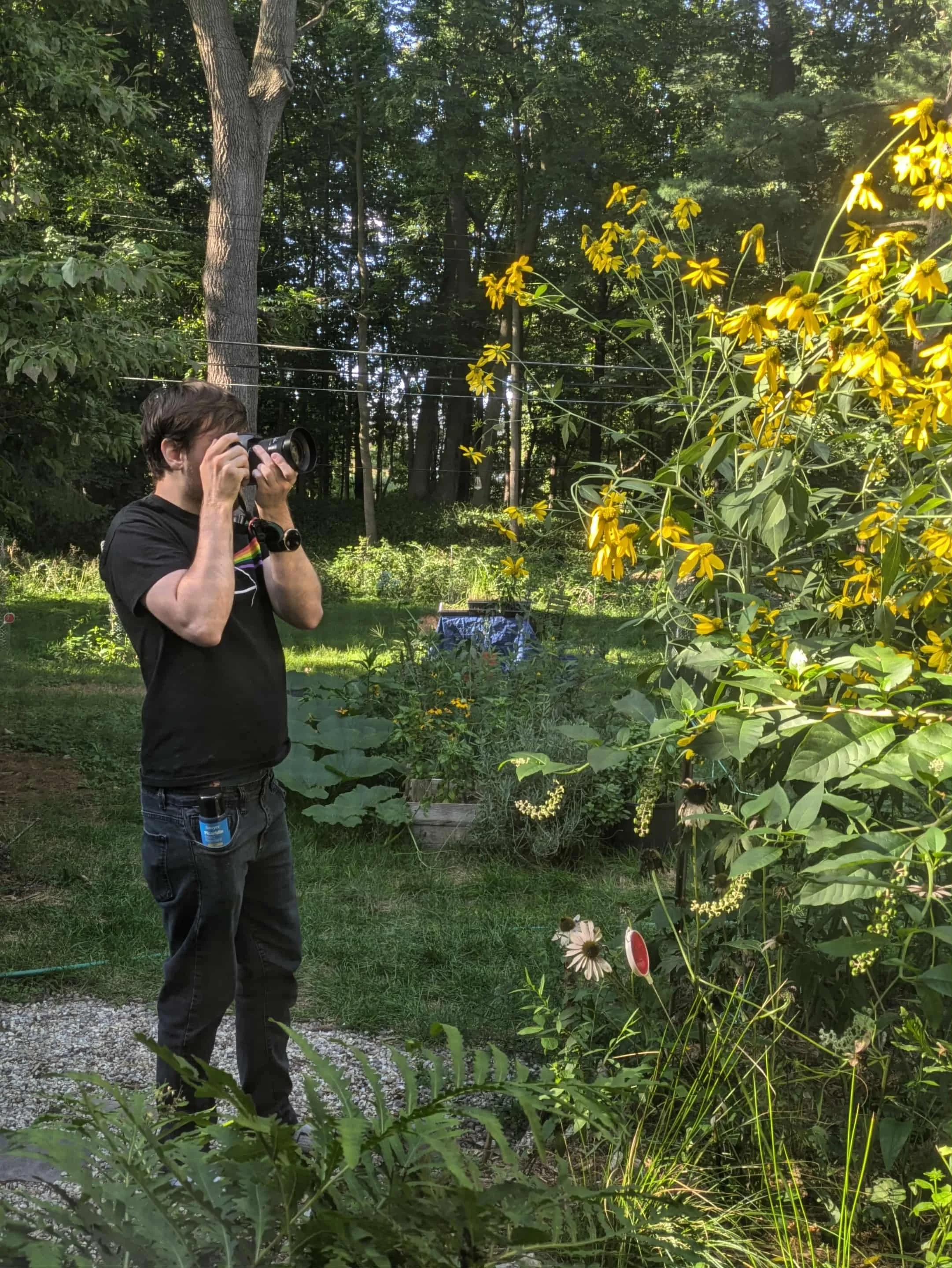 A person with dark hair taking a photo with a camera in a lush garden filled with yellow flowers and various greenery, with tall trees in the background.