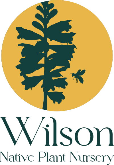 Wilson Native Plant Nursery