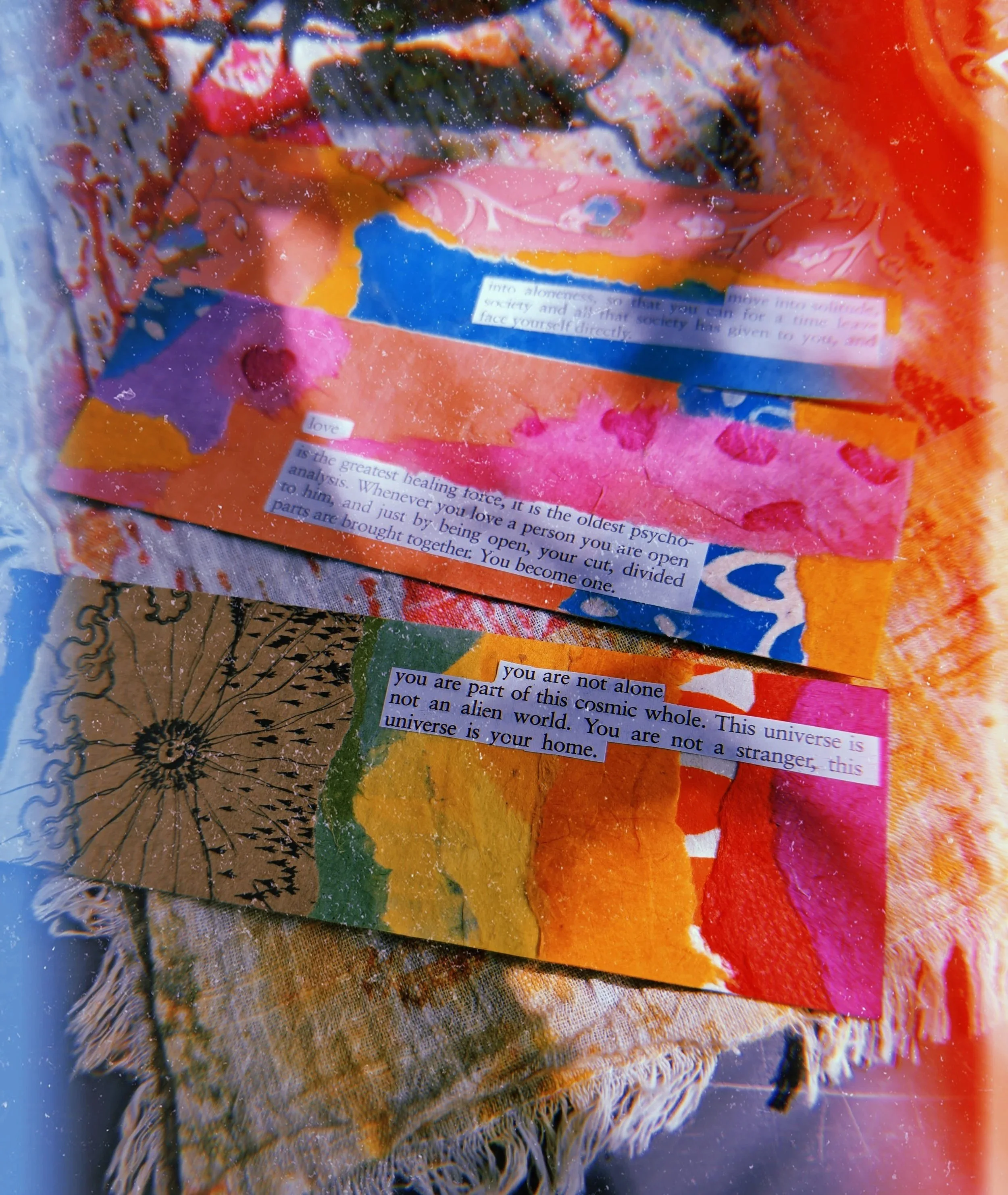 20260522_113205.jpg
