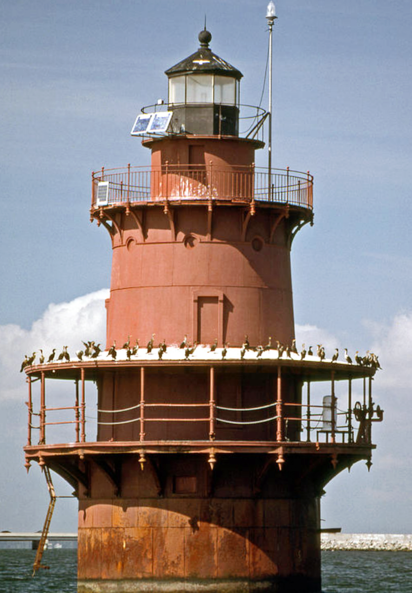 Middle Ground Lighthouse Seagulls February 10th, 2015