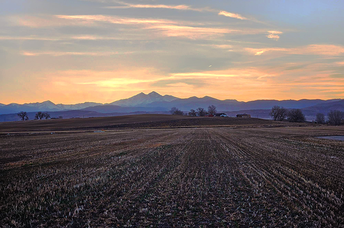 Lewis VAalley Berthoud CO fields.png