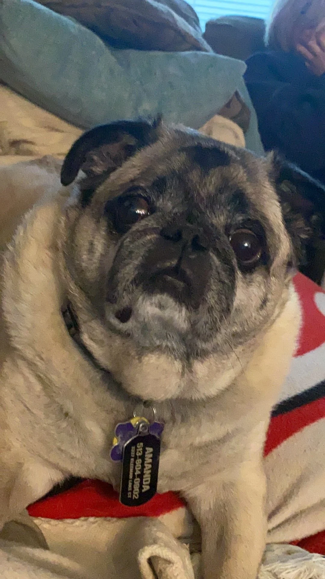 To my sweet bubba. He never spent a day having a bad day. He reminded you that it’s okay to take it slow and enjoy the ride