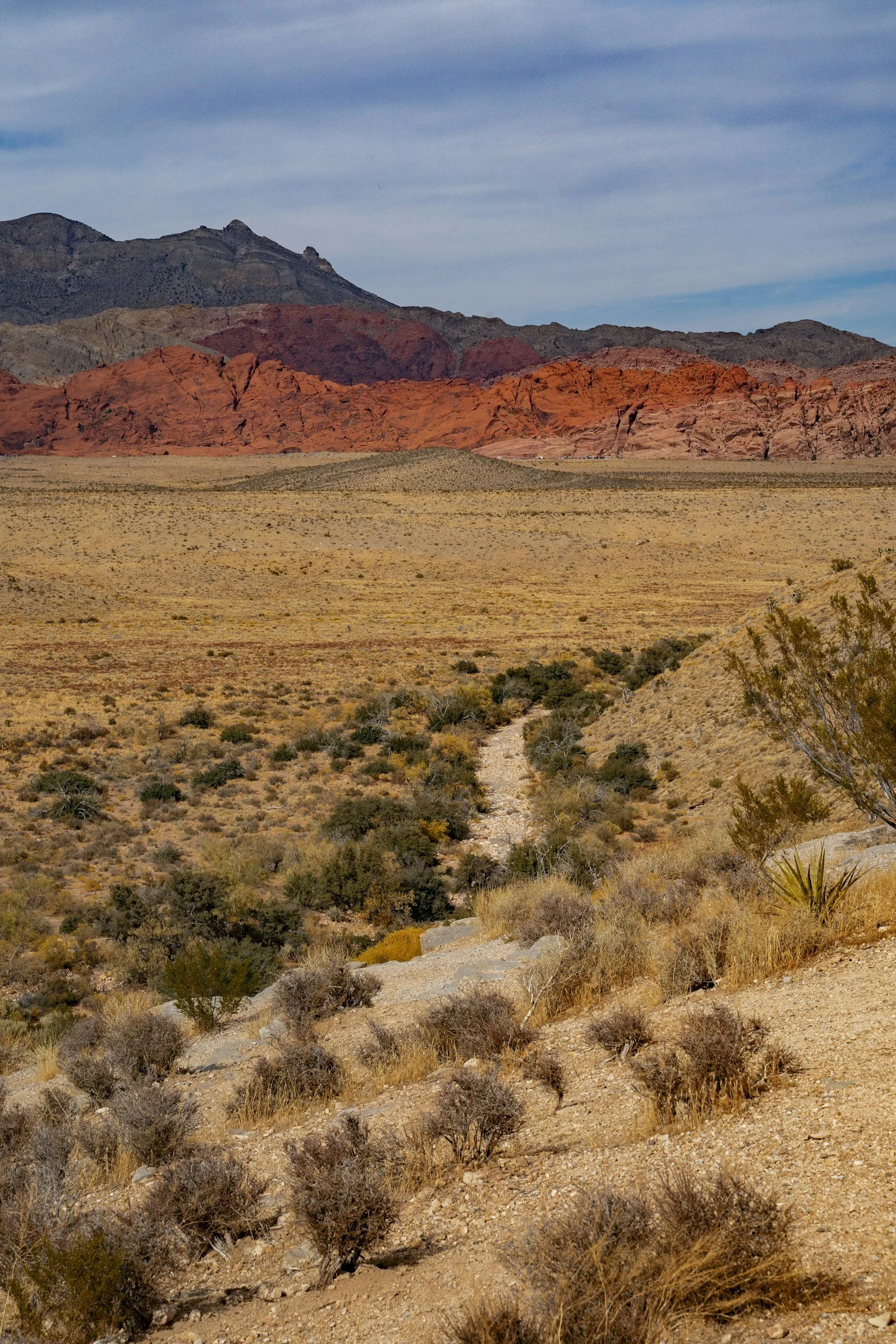 Image of Nevada desert during the day with mountain range in the background