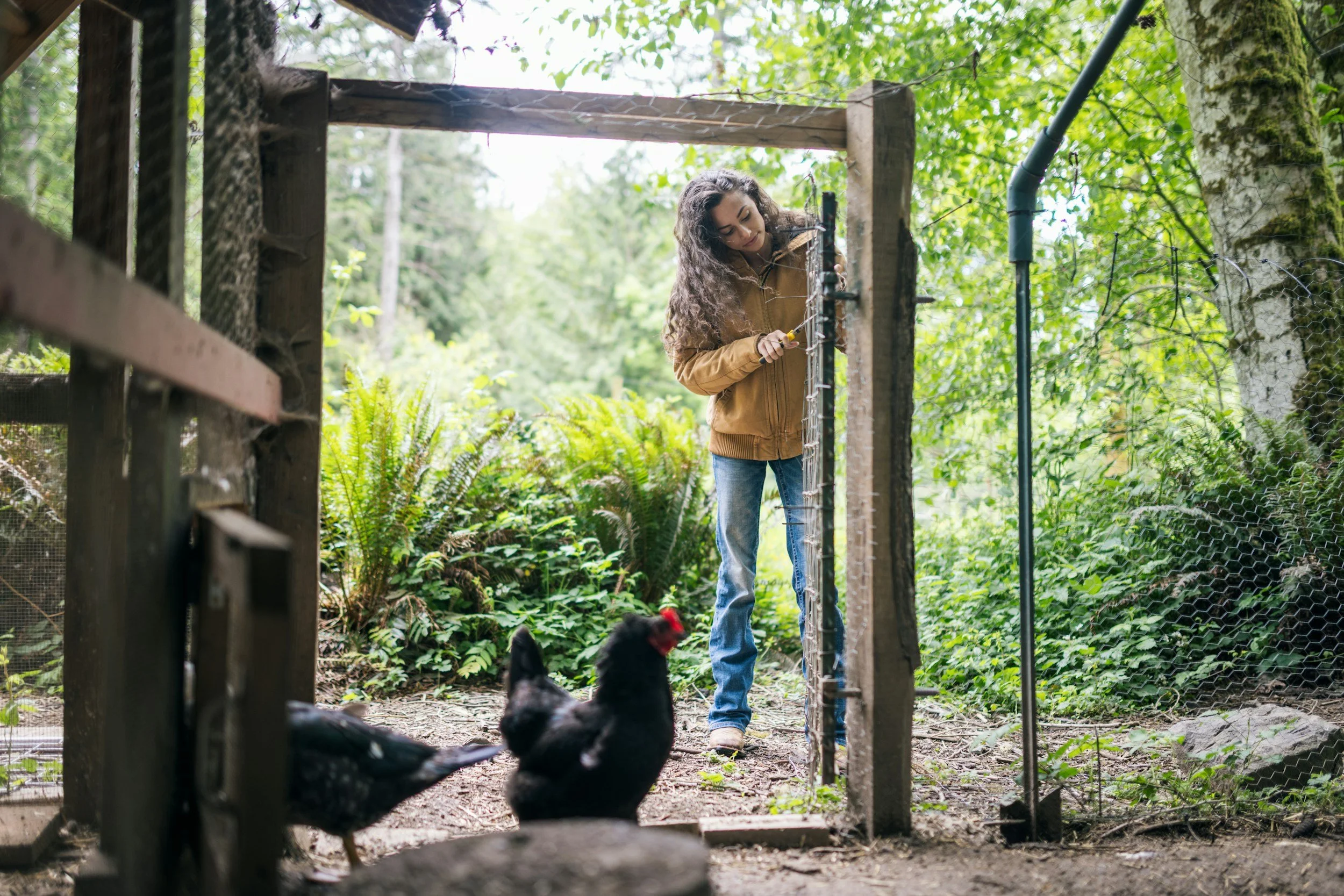A woman with curly hair wearing a brown jacket and jeans is working in a garden, fixing a wire fence. Two black puppies are in the foreground, sitting on the ground near the fence, with lush green trees and plants in the background.