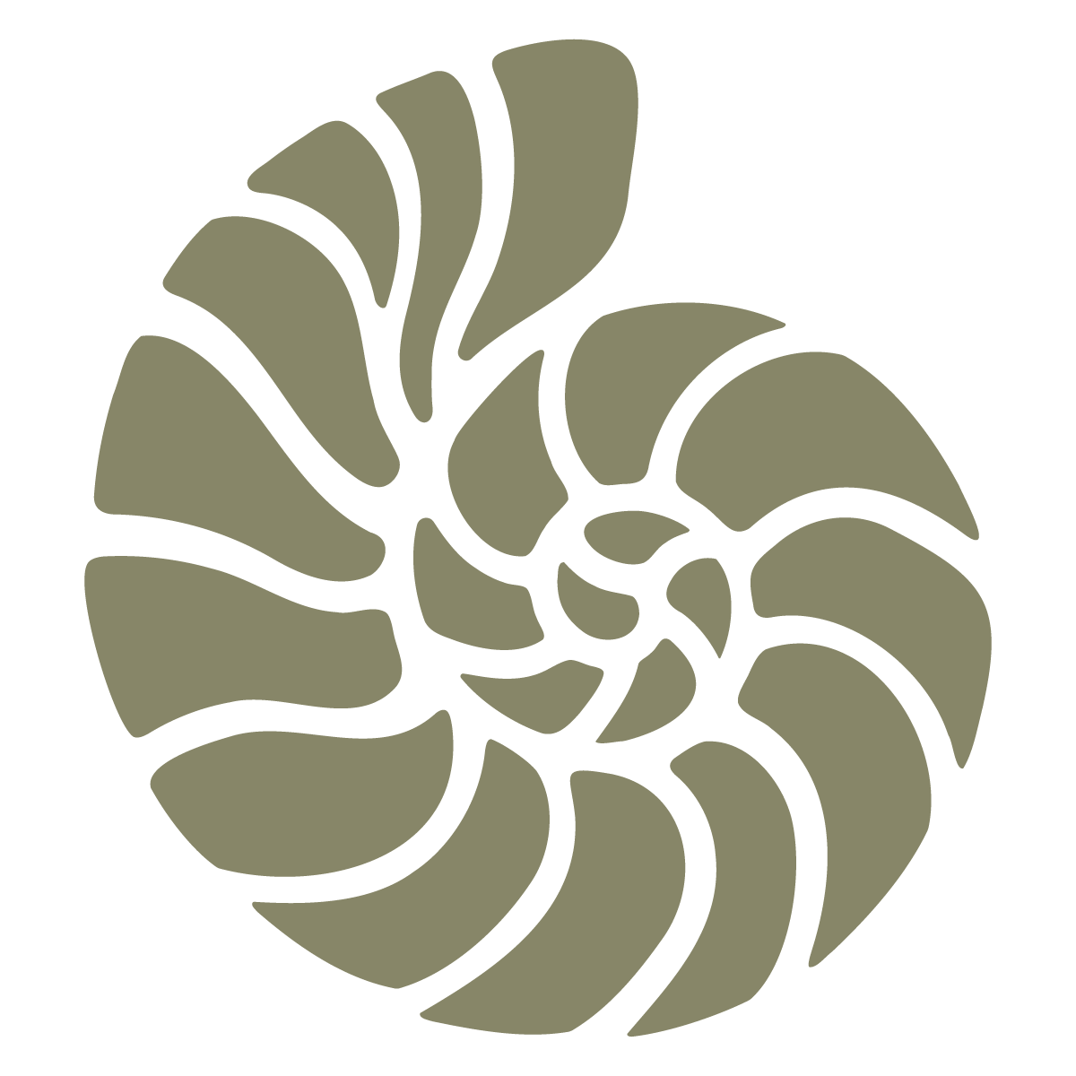Stylized nautilus shell illustration in soft sage green