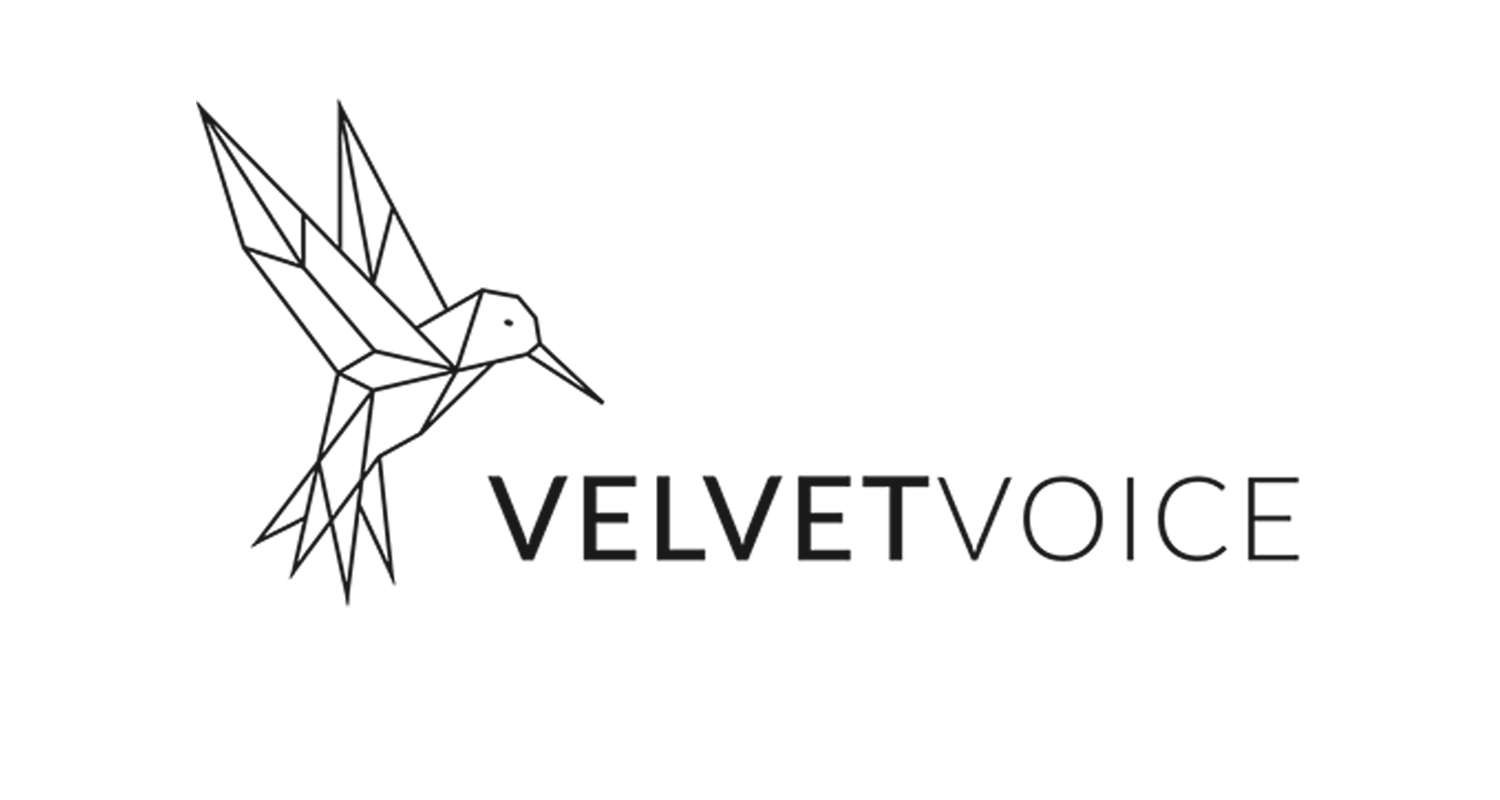 A minimalist logo of a hummingbird’s outline in geometric style, next to the text "VELVETVOICE" in capital letters.