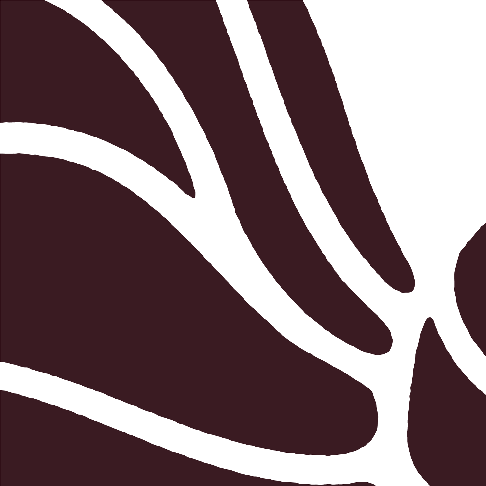 Rachelle Hicks Astrology Brand Pattern