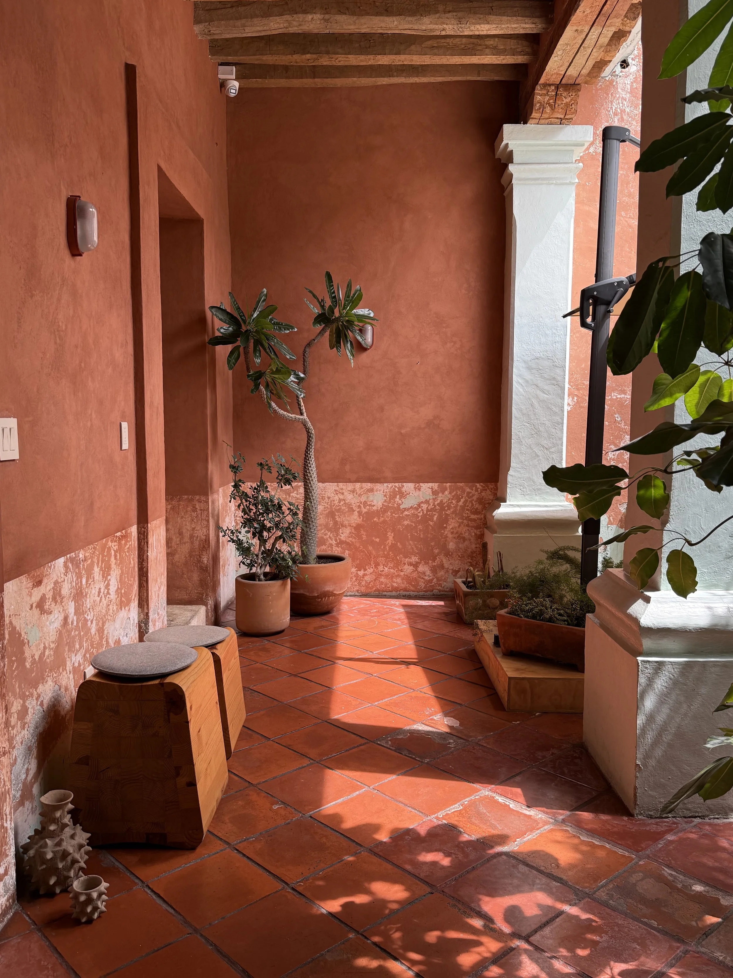 Indoor patio with terracotta tiles, potted plants including a tall tree and shrub, wooden furniture with cushions, and architectural details like a white column and exposed wooden beams.