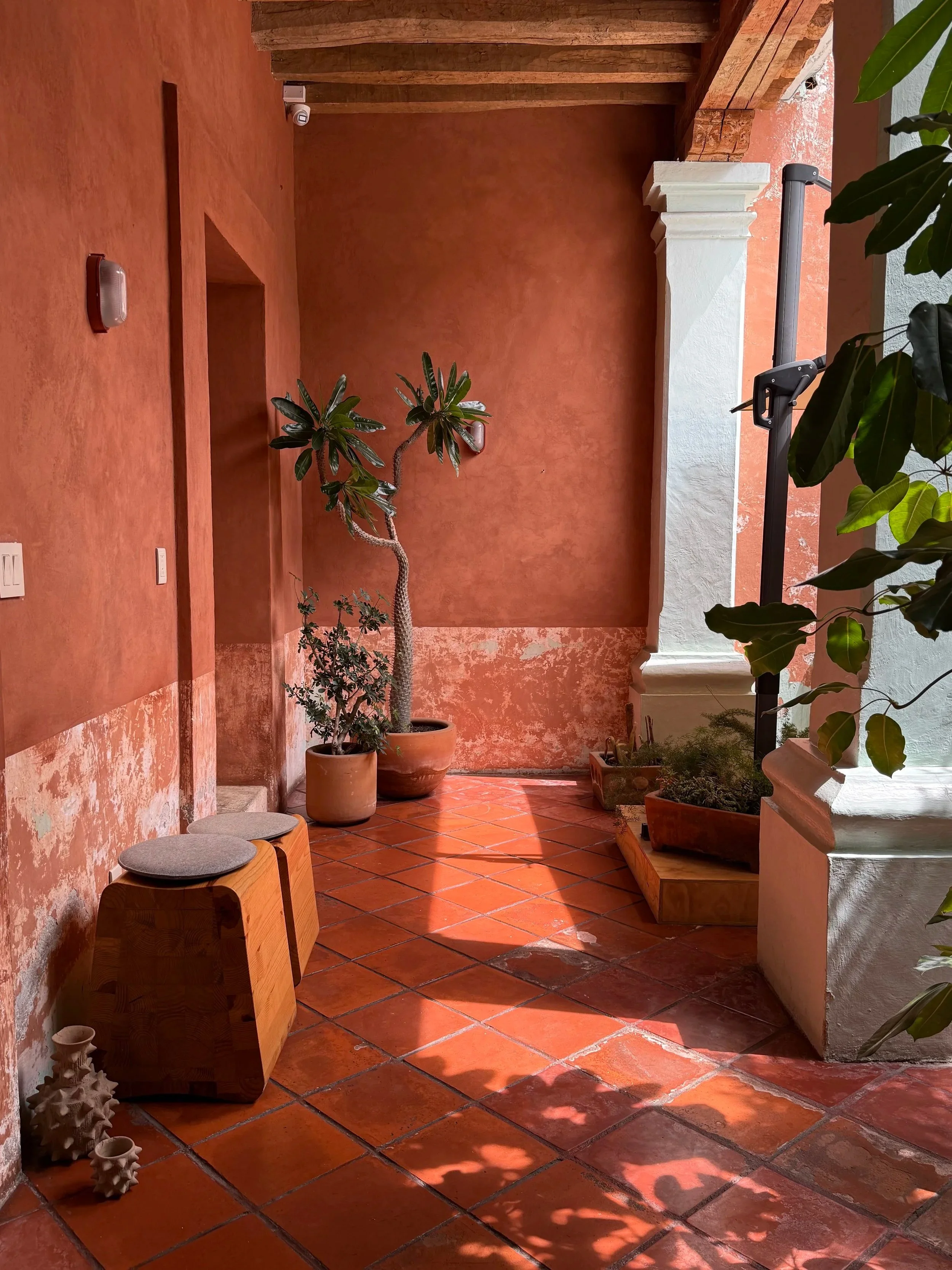 A patio with terracotta tiled flooring, a textured terracotta wall, and potted plants including a large tree and smaller greenery. Two wooden stools with fabric cushions are on the left, and sunlight is casting shadows across the space.