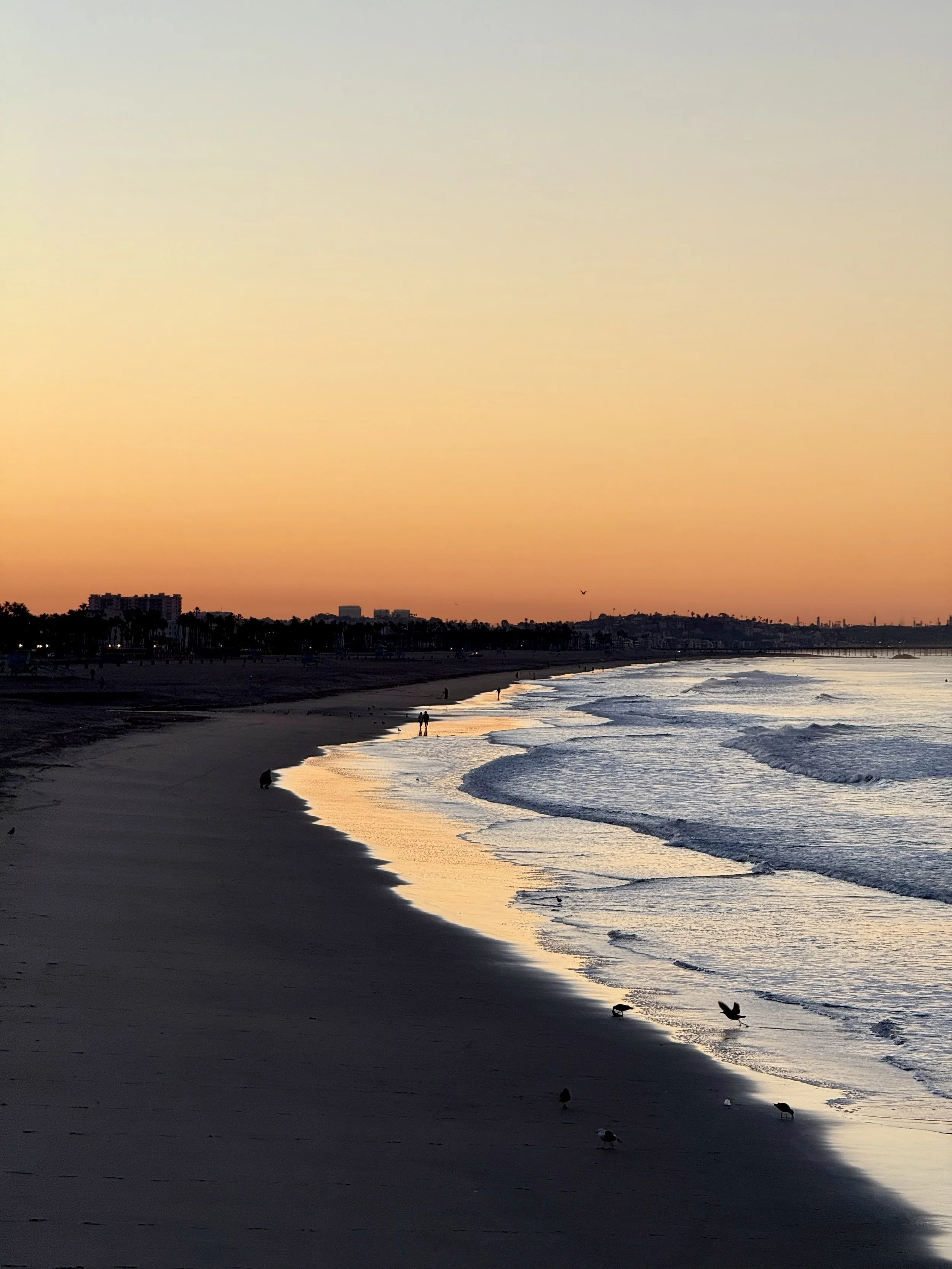 Sunset at a beach with a calm shoreline, birds on the sand, and a few people walking along the water's edge.