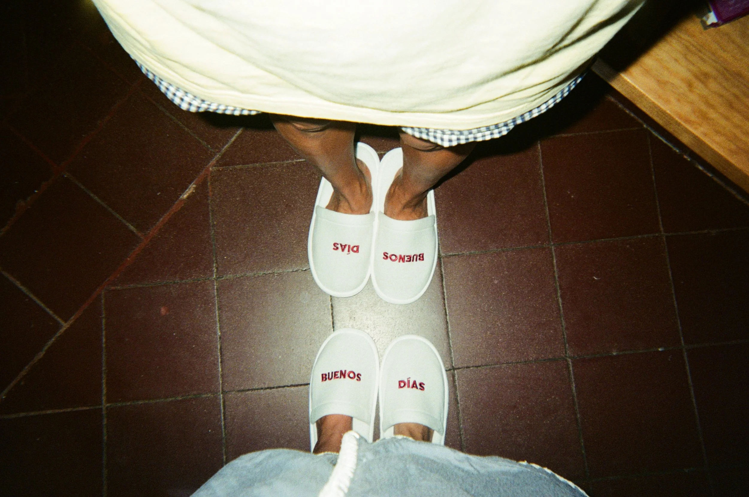Laurie’s customers, Mariana and Carmen holding hands on a green lawn on their wedding day.