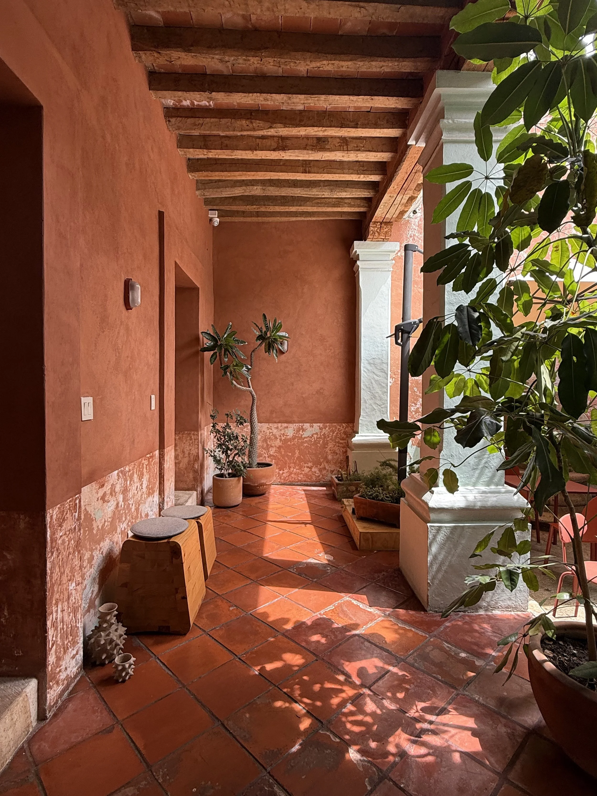 A sunlit terracotta-tiled patio with potted plants, including a large leafy plant and a small tree, against a reddish wall with wooden ceiling beams and white columns.