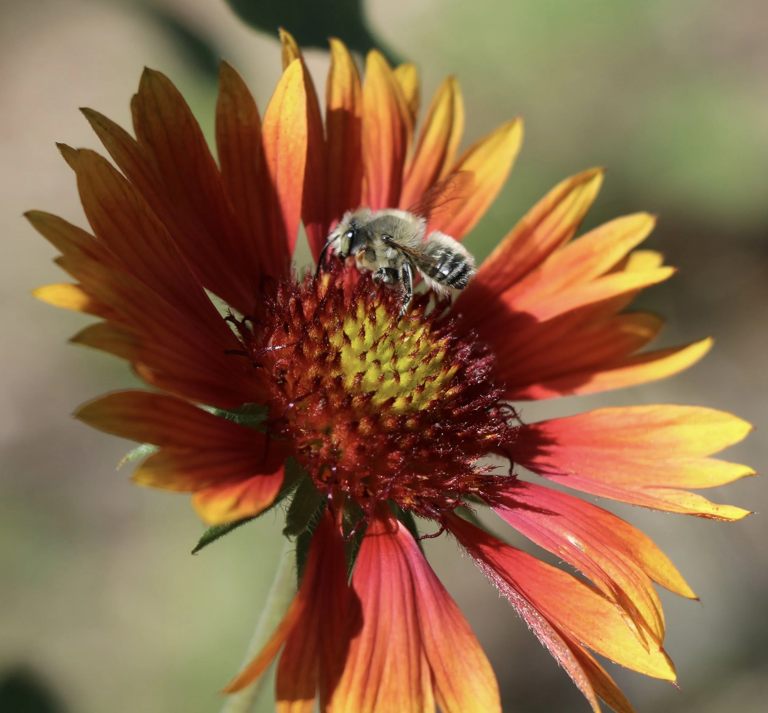 0O3A0495.jpeg