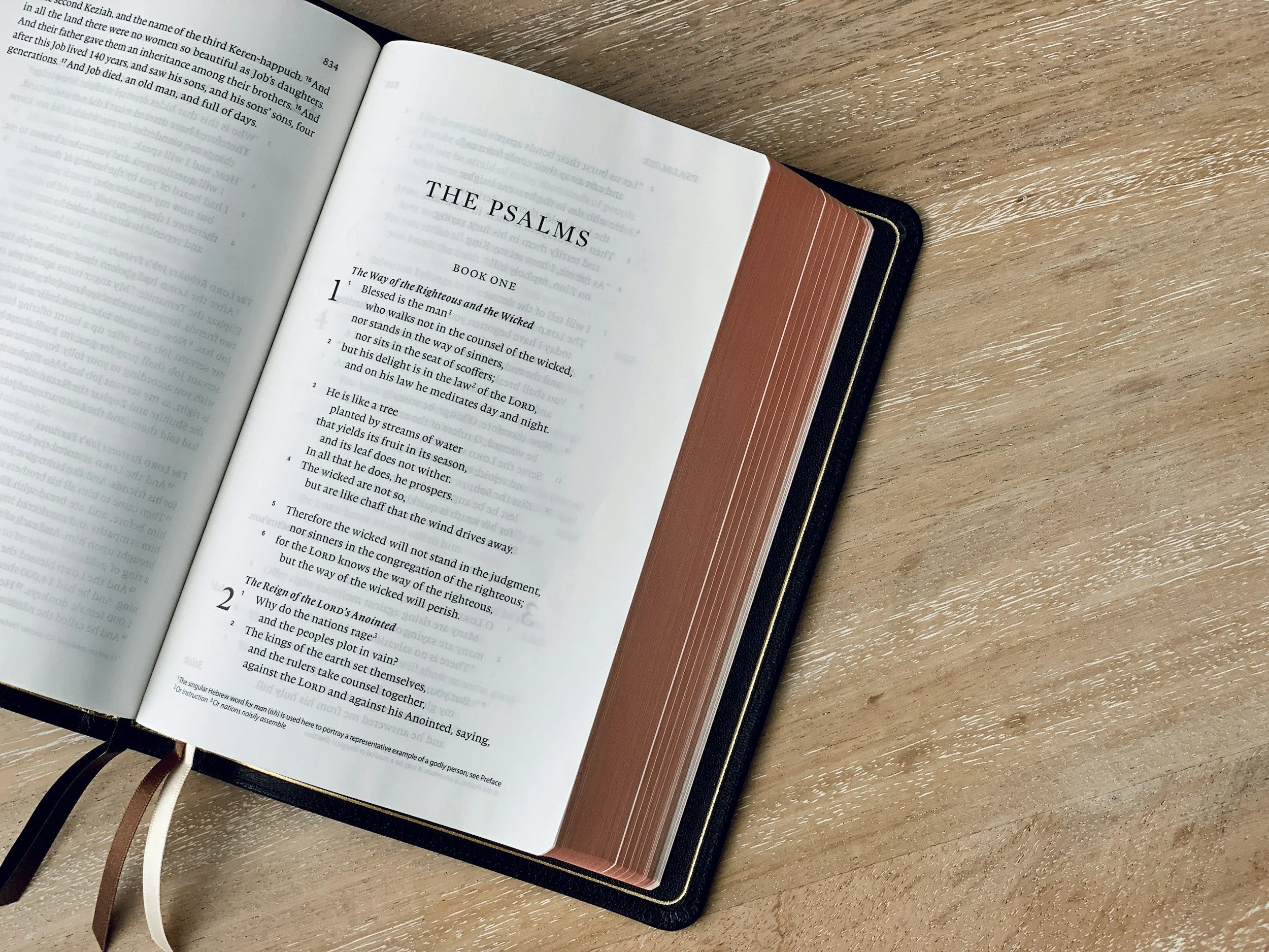 Meditation on the Psalms