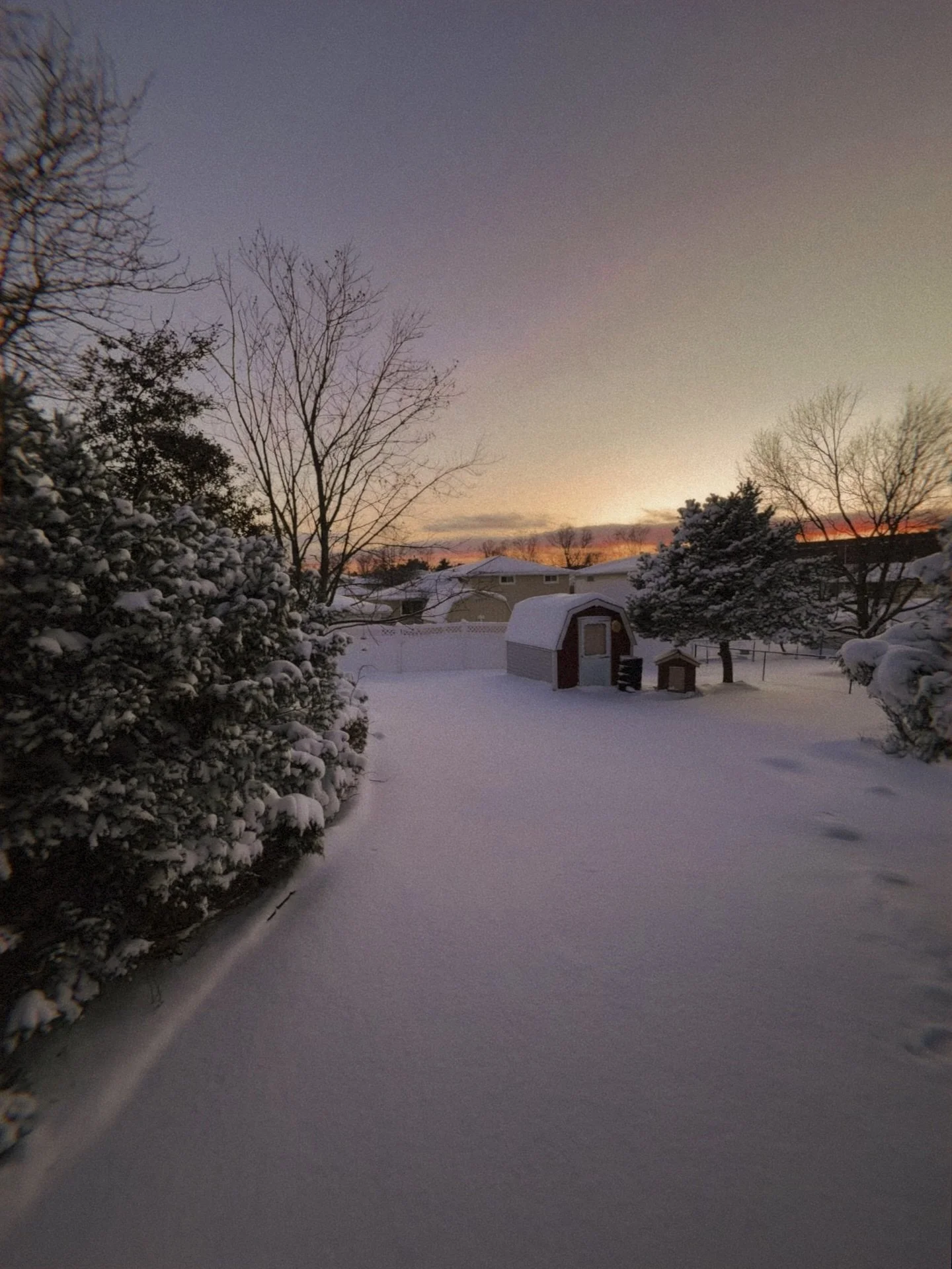 made it through the year that is January 🫂