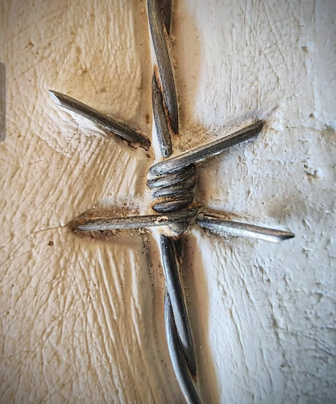 barbed wire detail.jpg