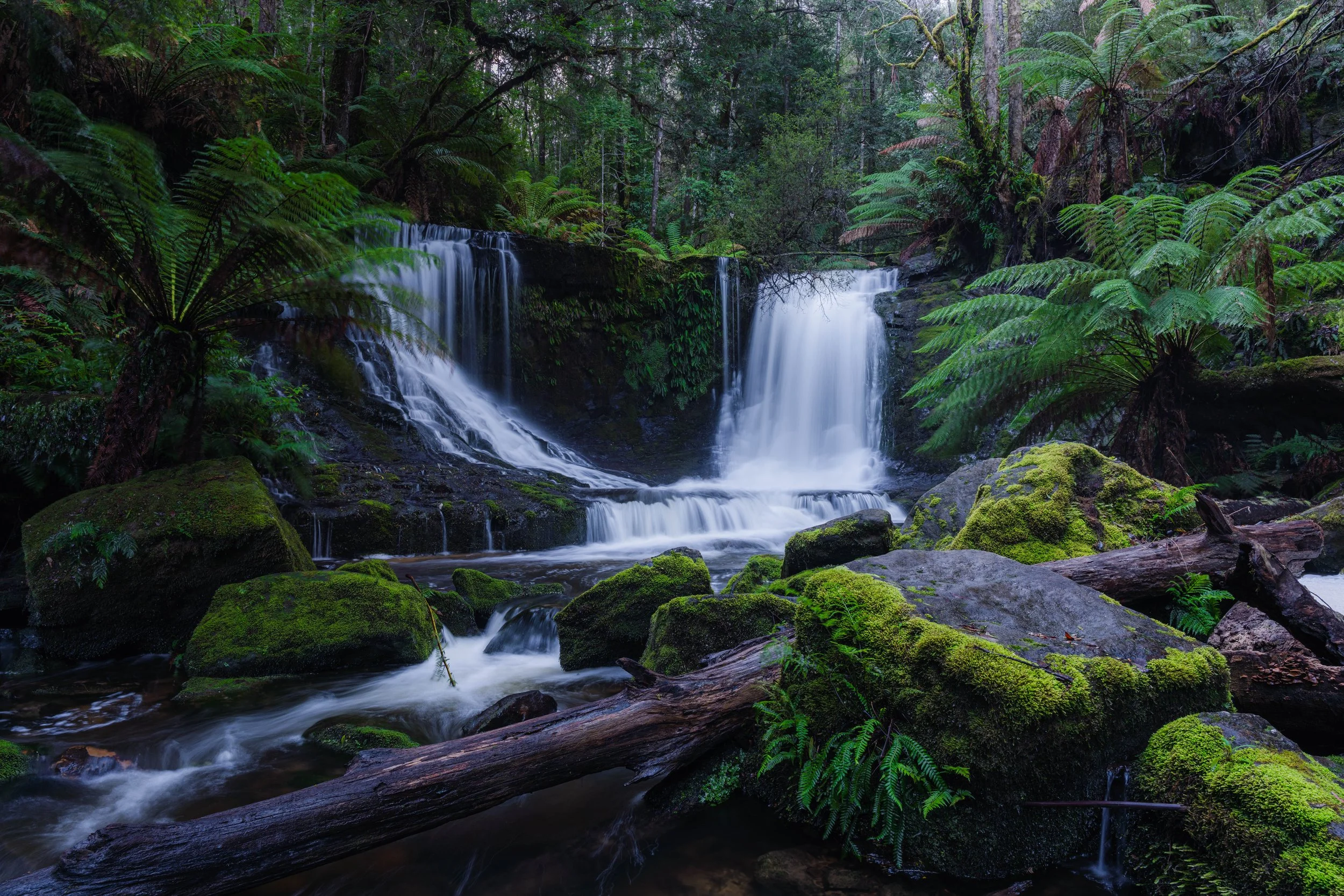 Horseshoe Falls No WM.jpg