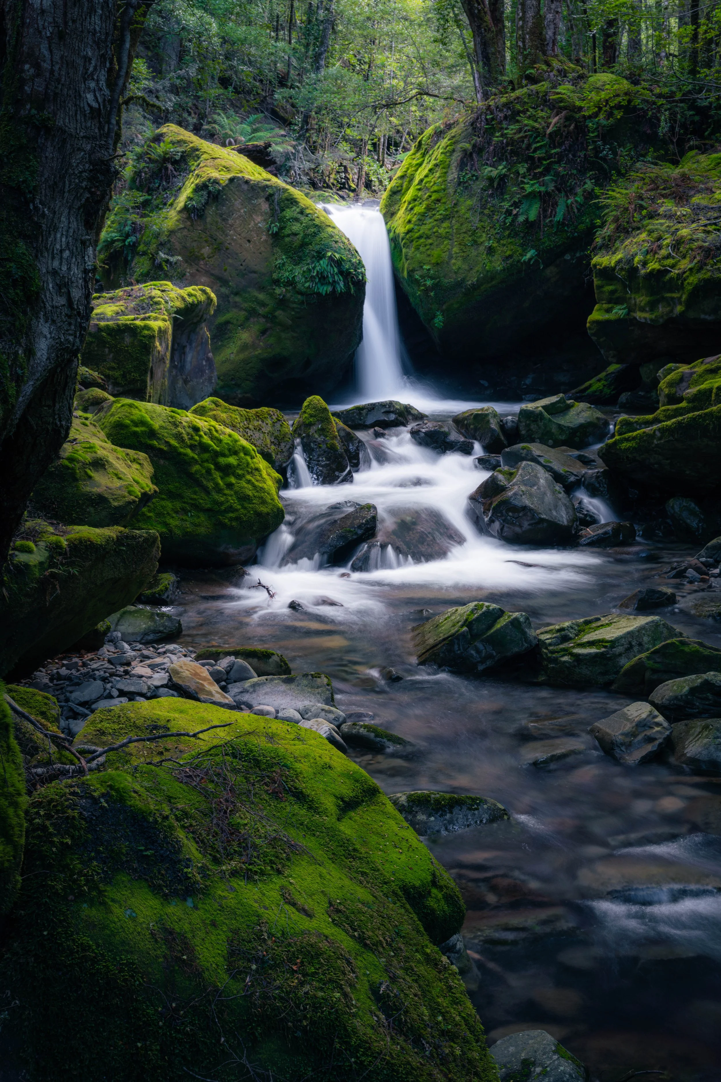 Into the Green