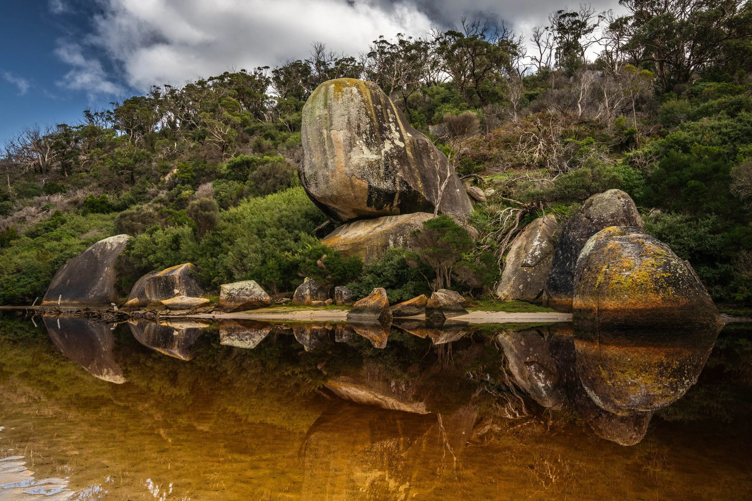 Whale Rock No WM.jpg