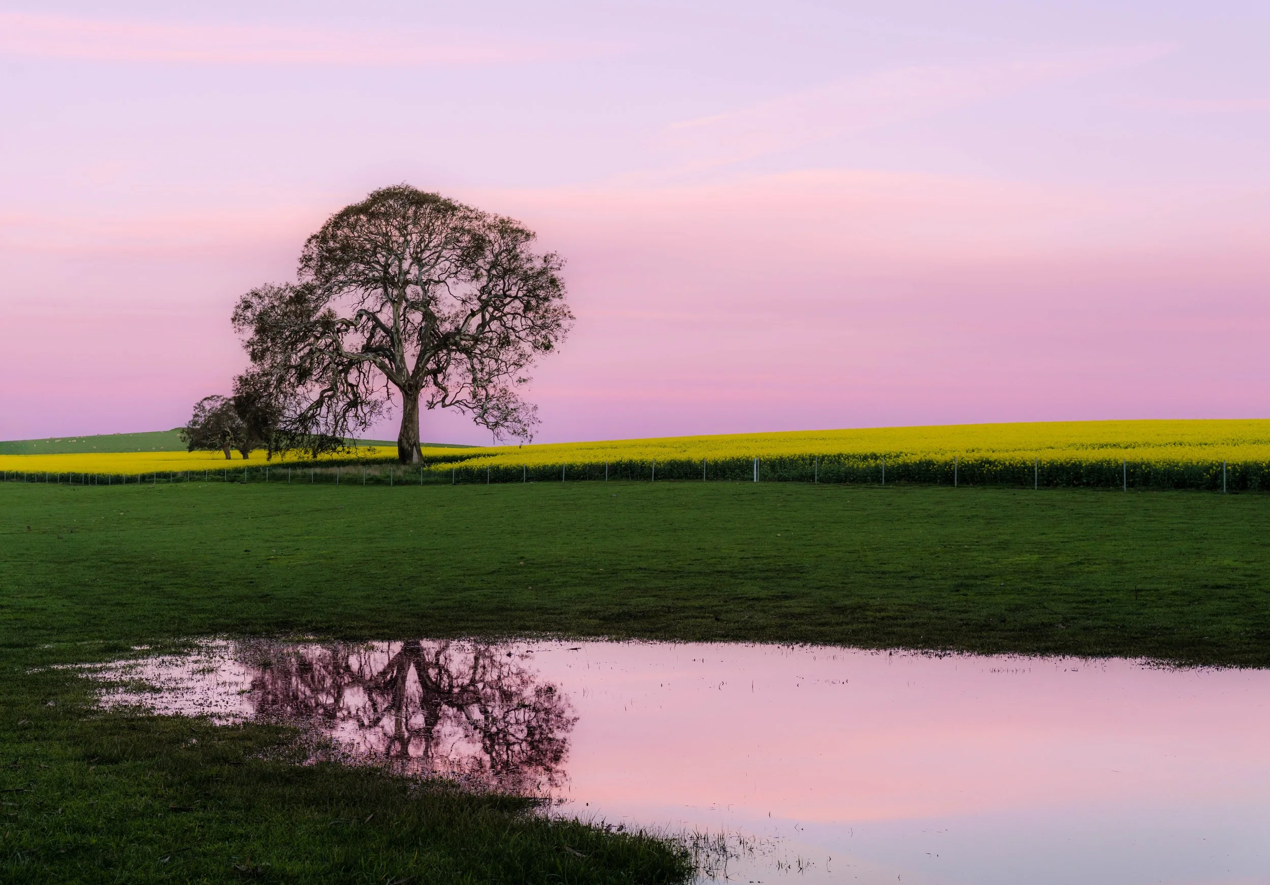 Pastel Sky No WM.jpg