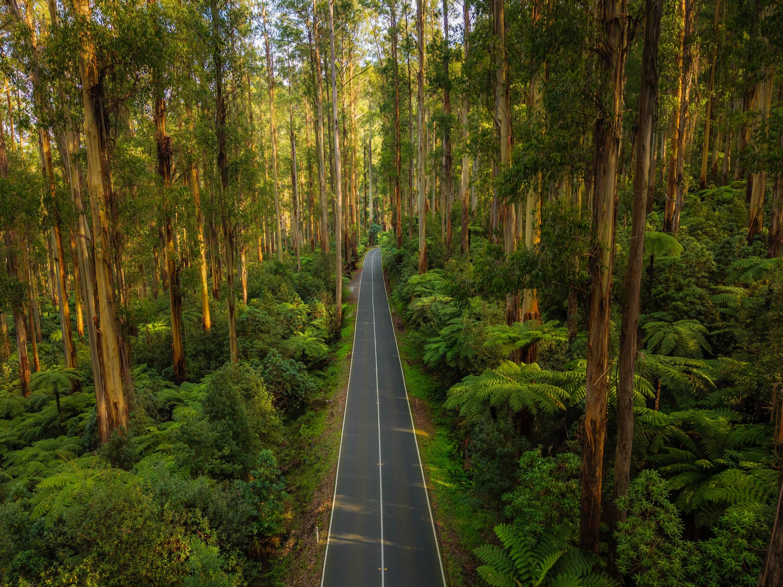 Down The Road No WM.jpg