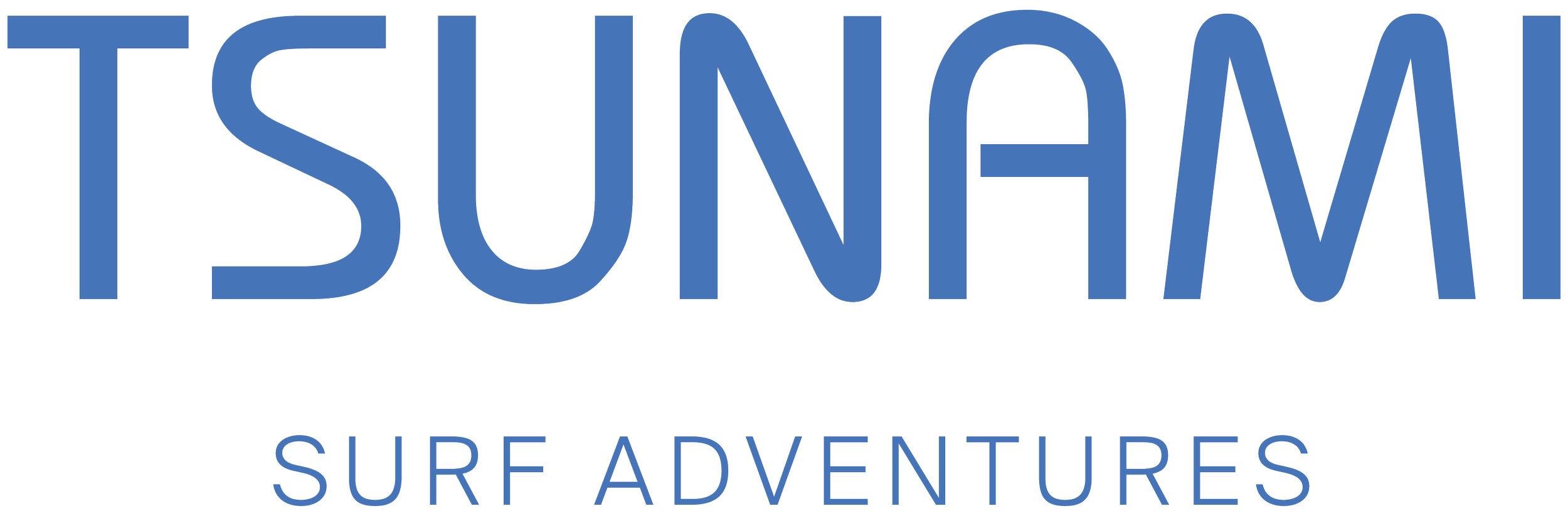 Tsunami Surf Adventures